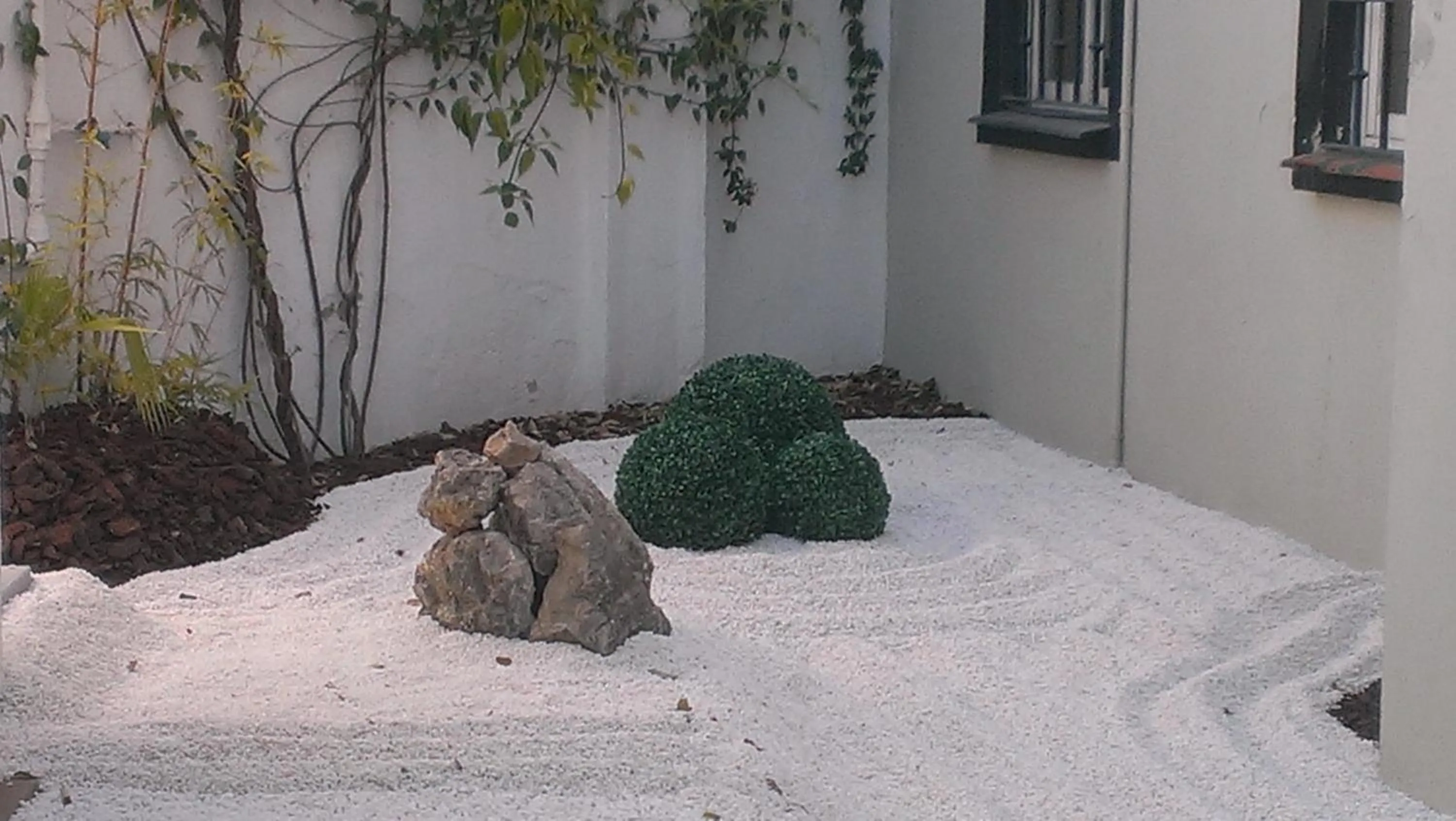 Garden in Hotel Domus
