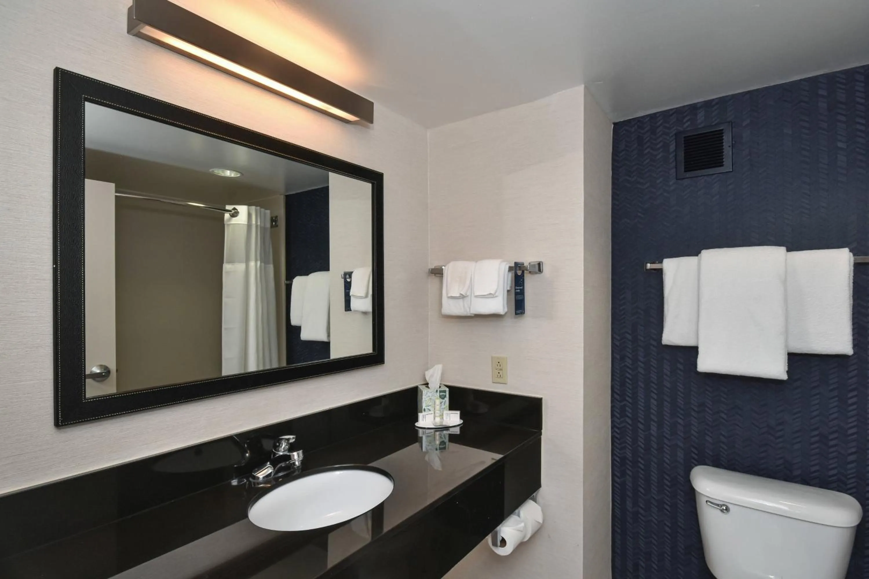 Bathroom in Fairfield by Marriott Inn & Suites Columbia Harbison