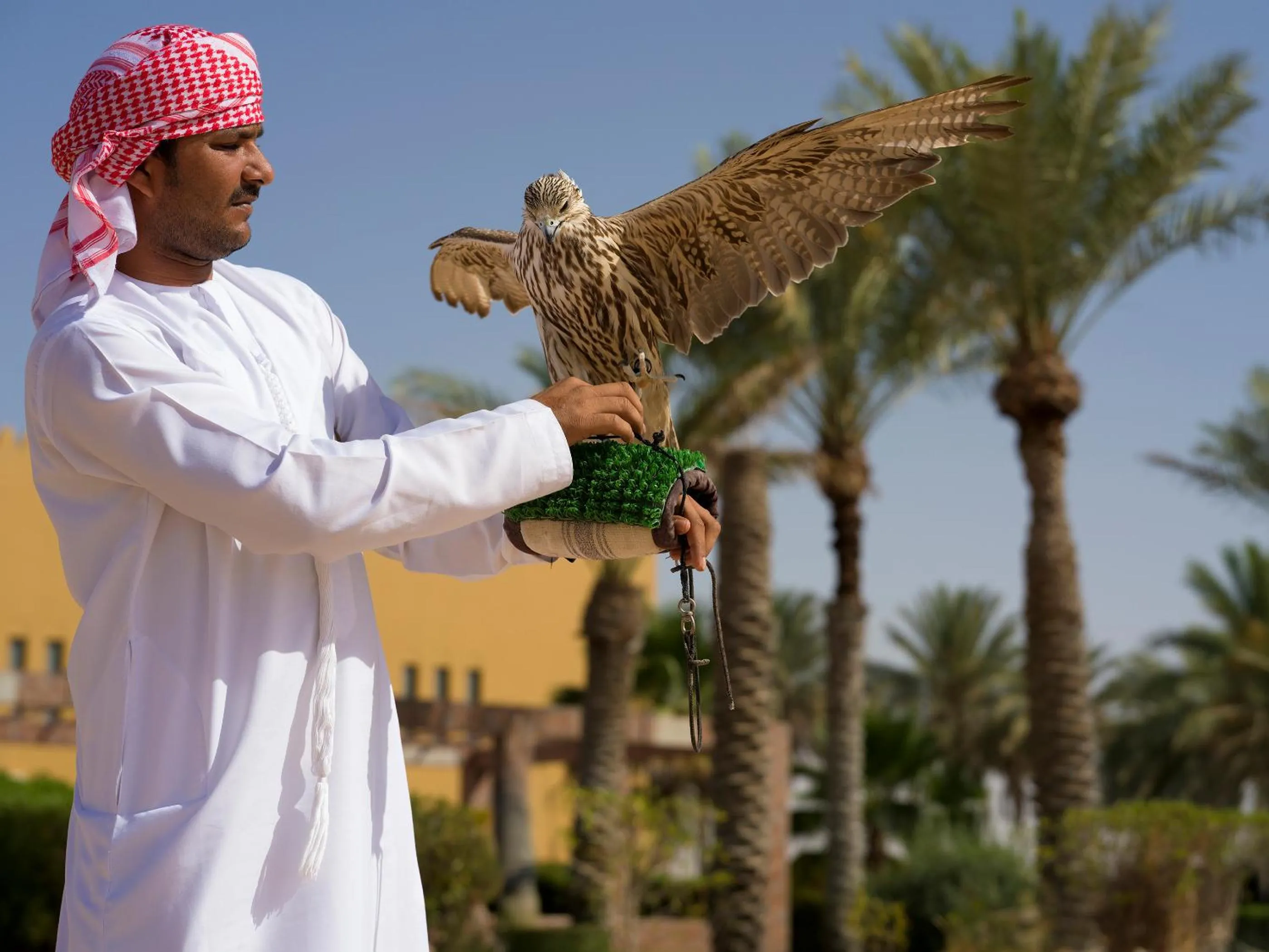 Activities in Aldhafra Desert Resort, Vignette Collection by IHG