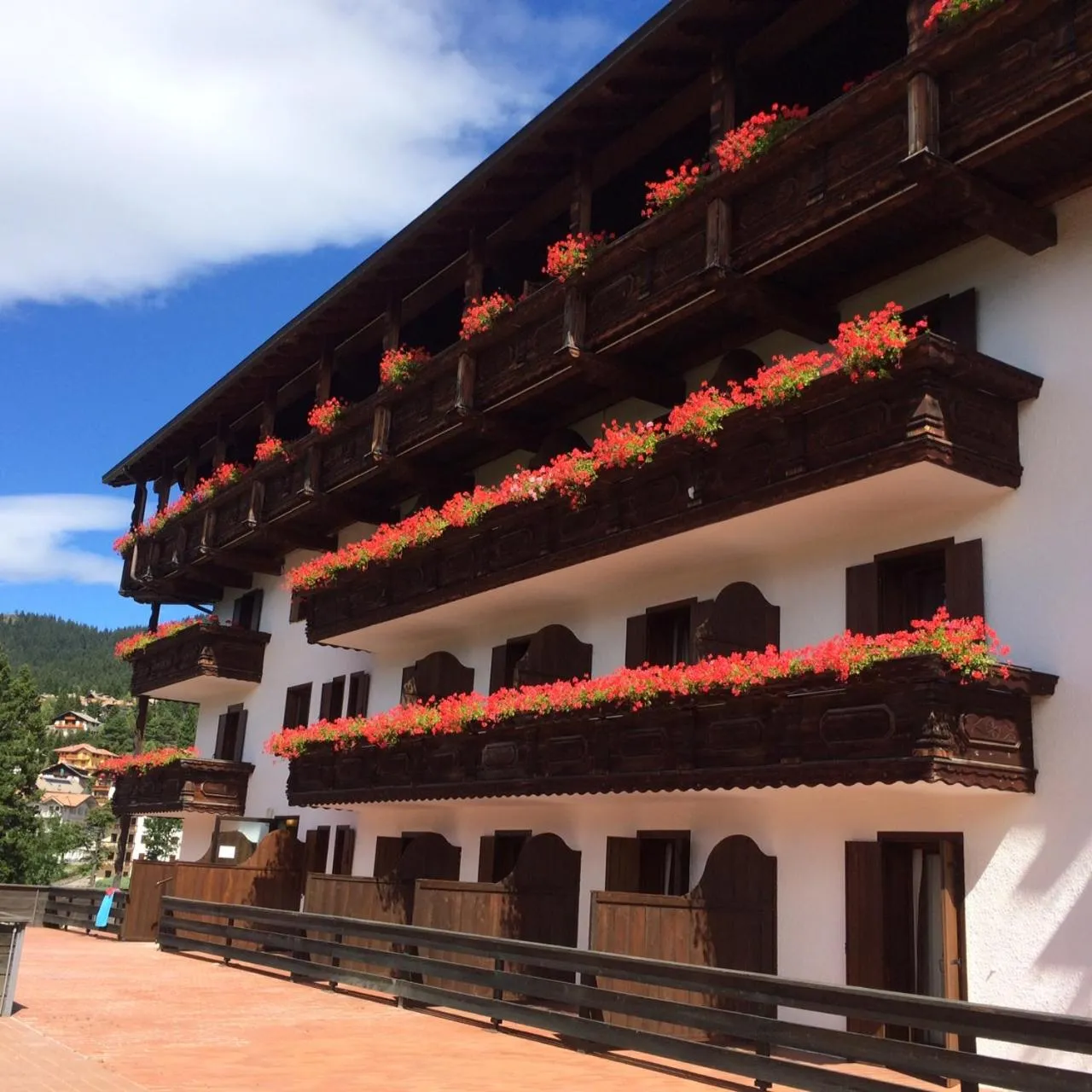Balcony/Terrace in Park Hotel Miramonti