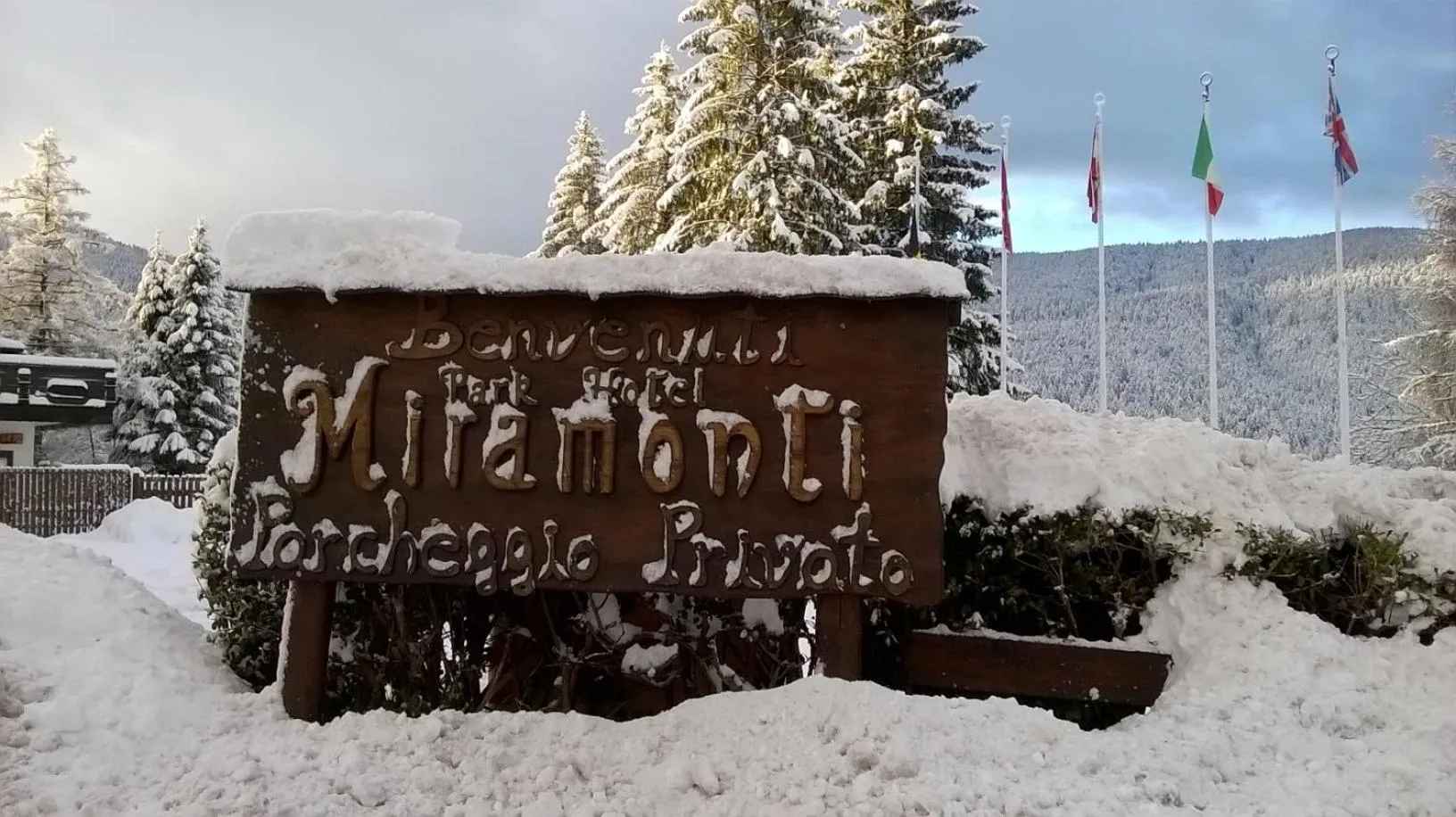 Area and facilities in Park Hotel Miramonti