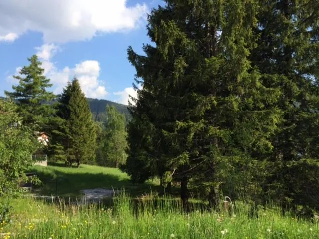 Garden in Park Hotel Miramonti