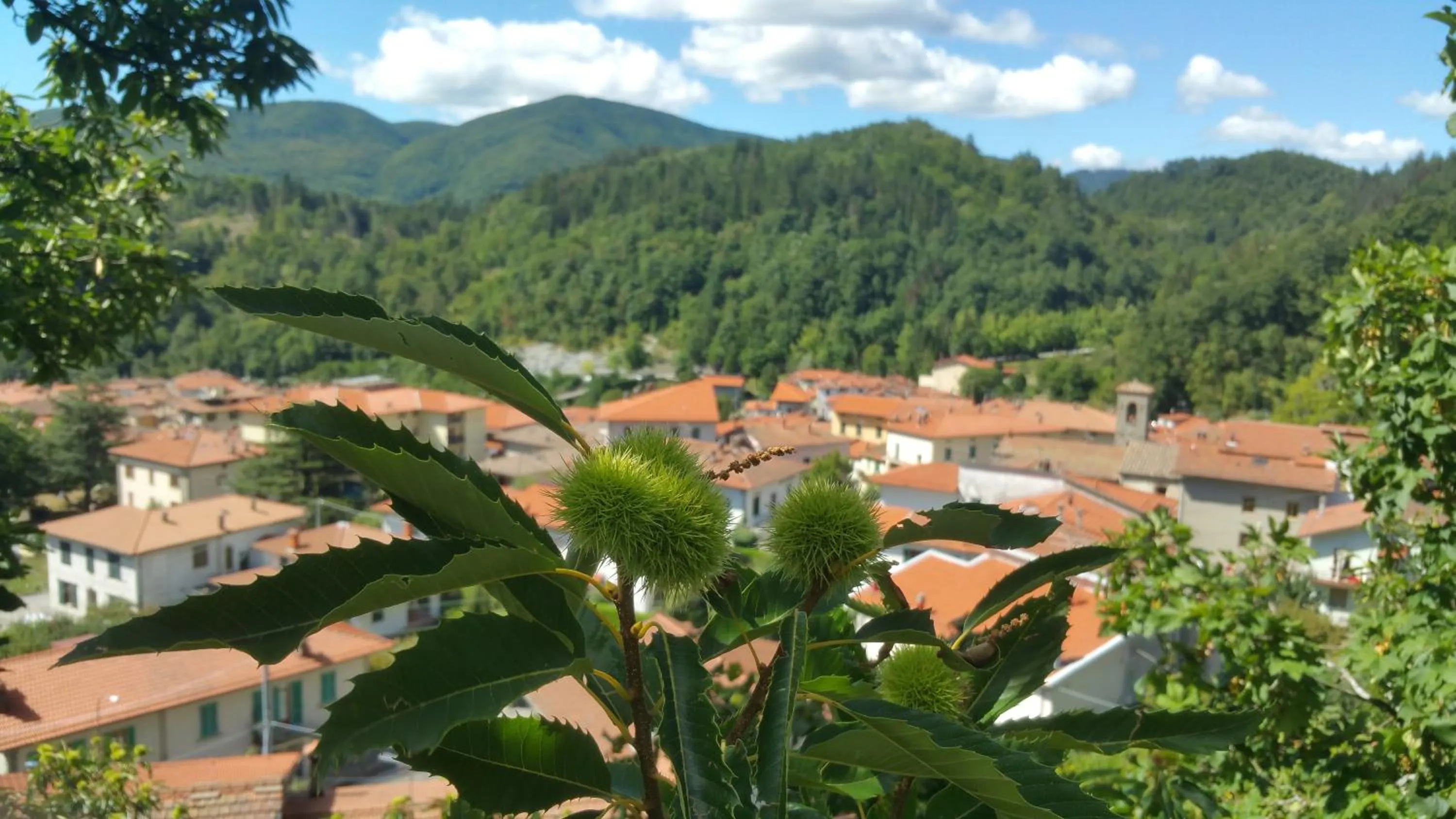 City view in Hotel La Pace