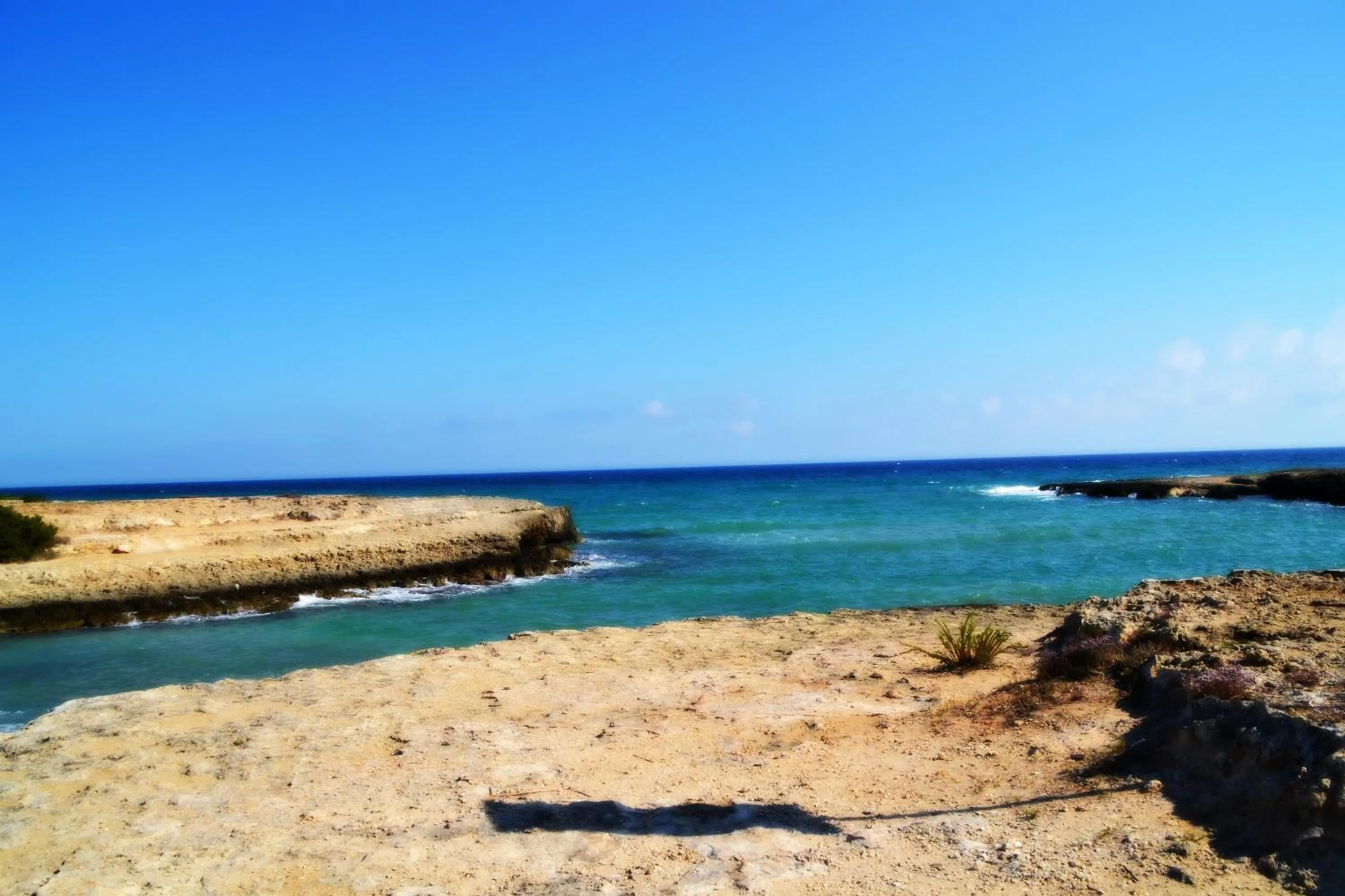 Natural landscape in Agriturismo Salinola