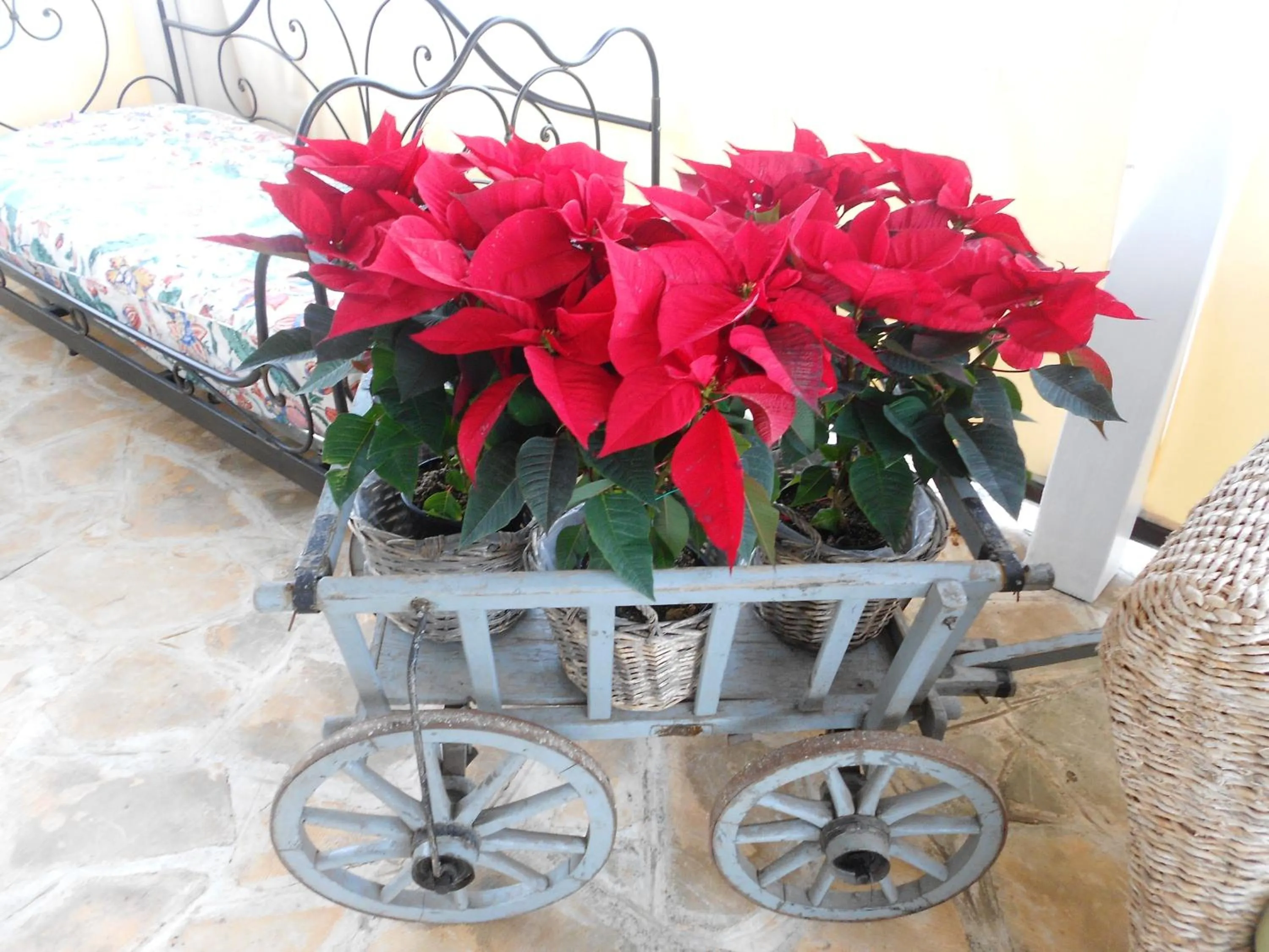 Property building in Agriturismo Salinola