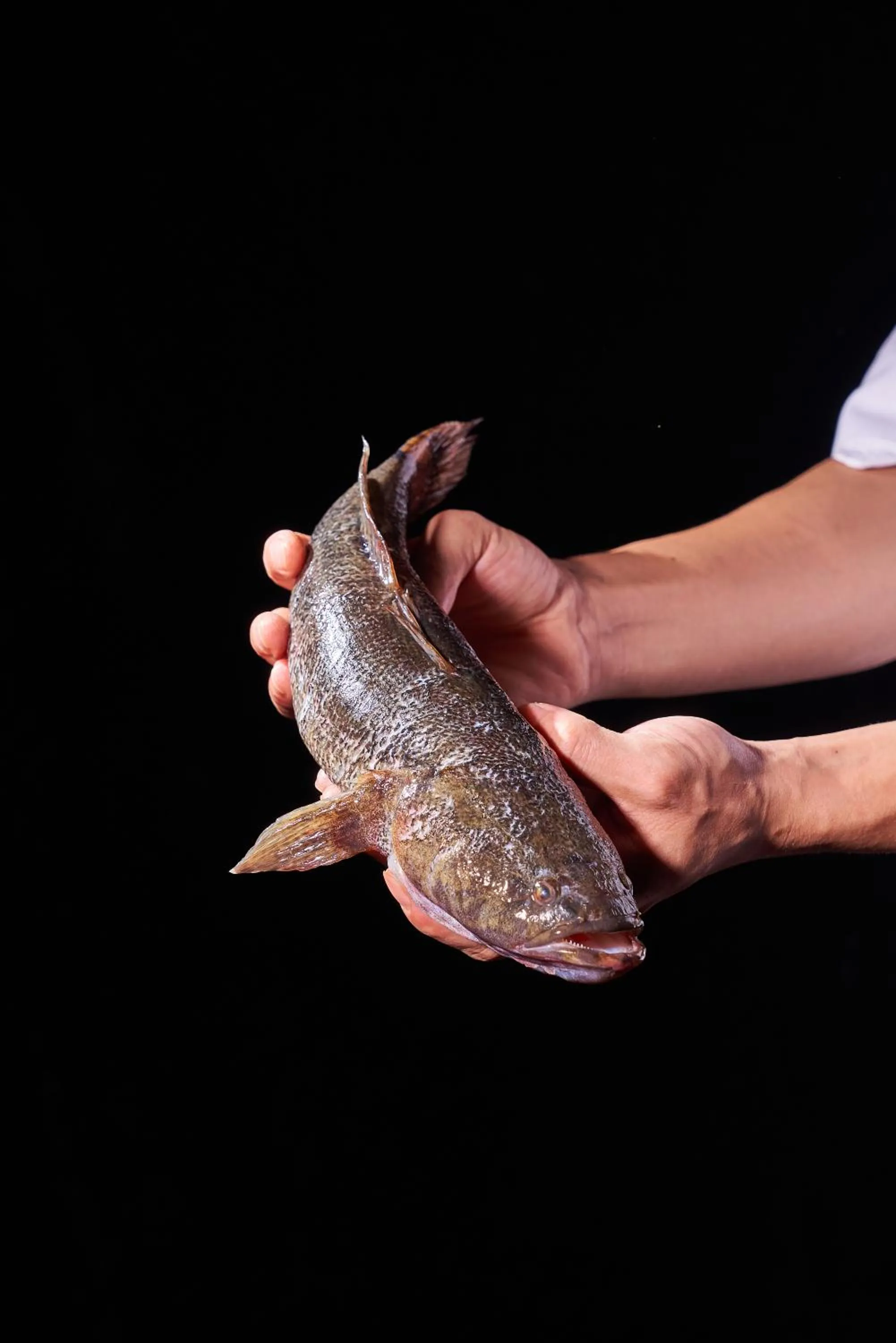 Restaurant/places to eat in Hilton Guangzhou Science City, Free Shuttle Bus during Canton Fair