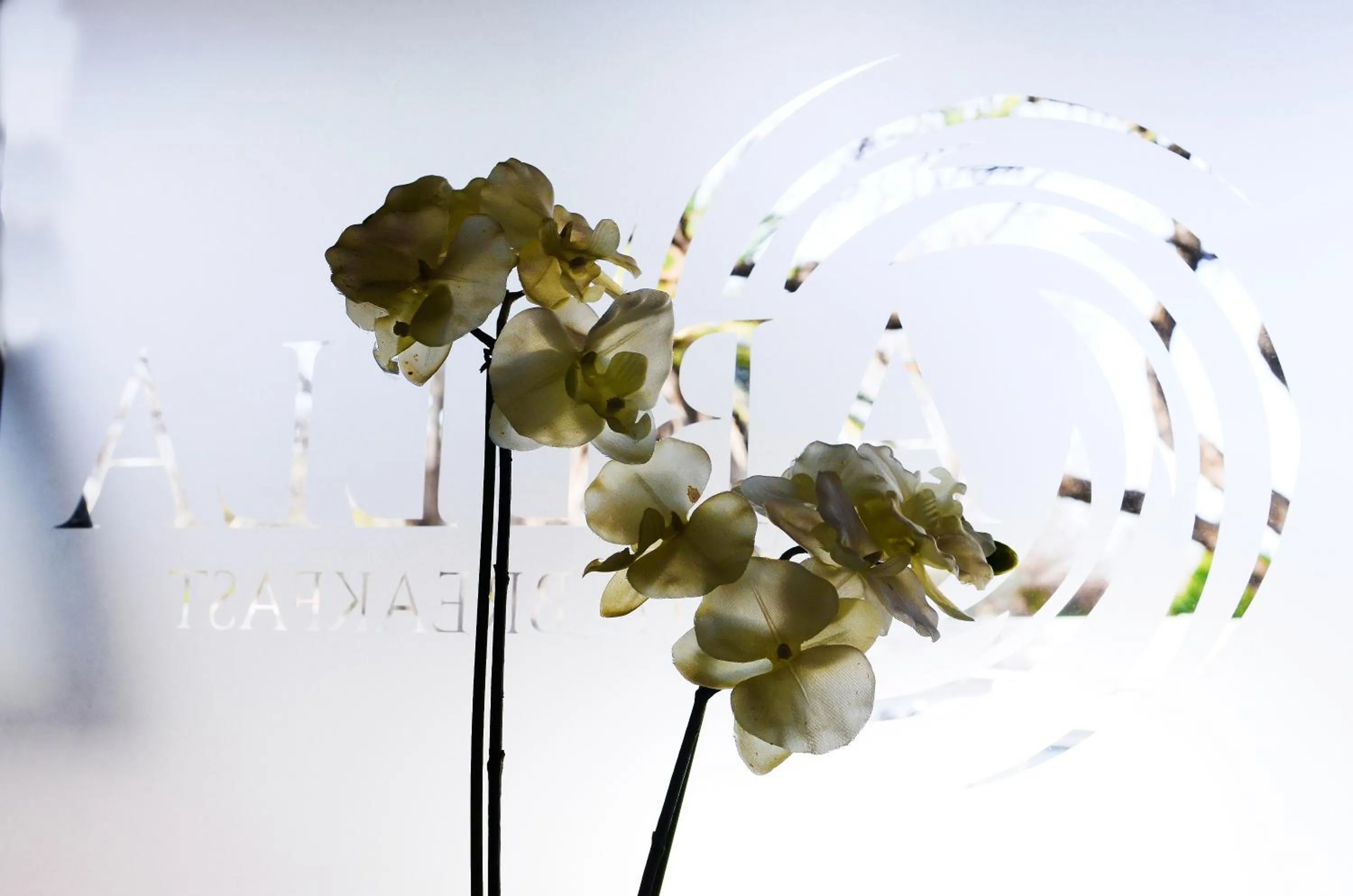 Spring in Abella Bed and Breakfast