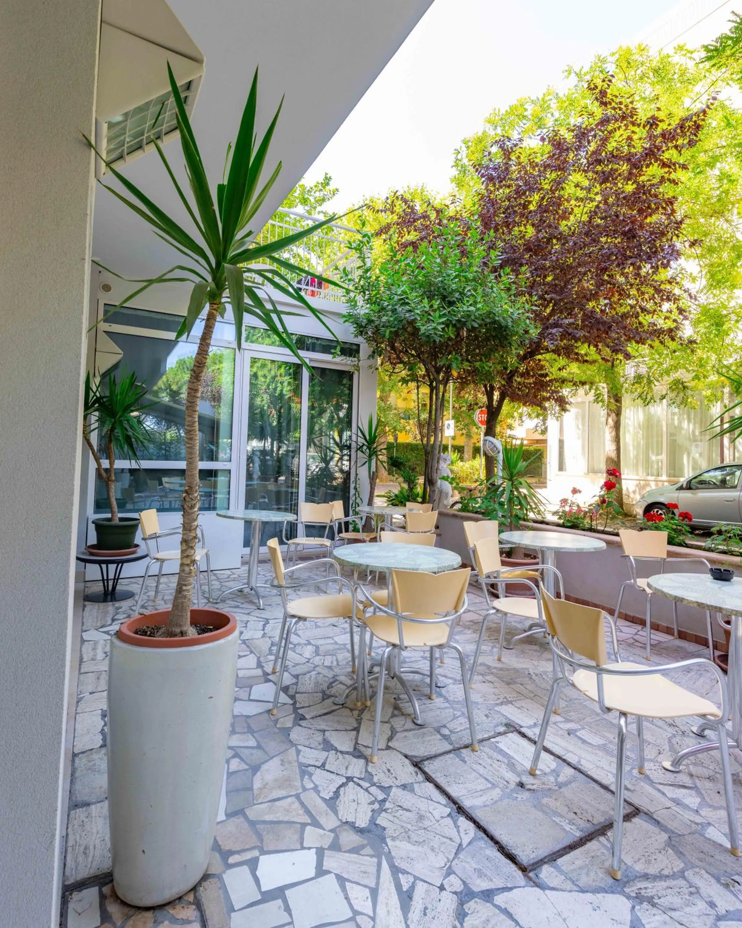 Property building in Ciccio Hotel