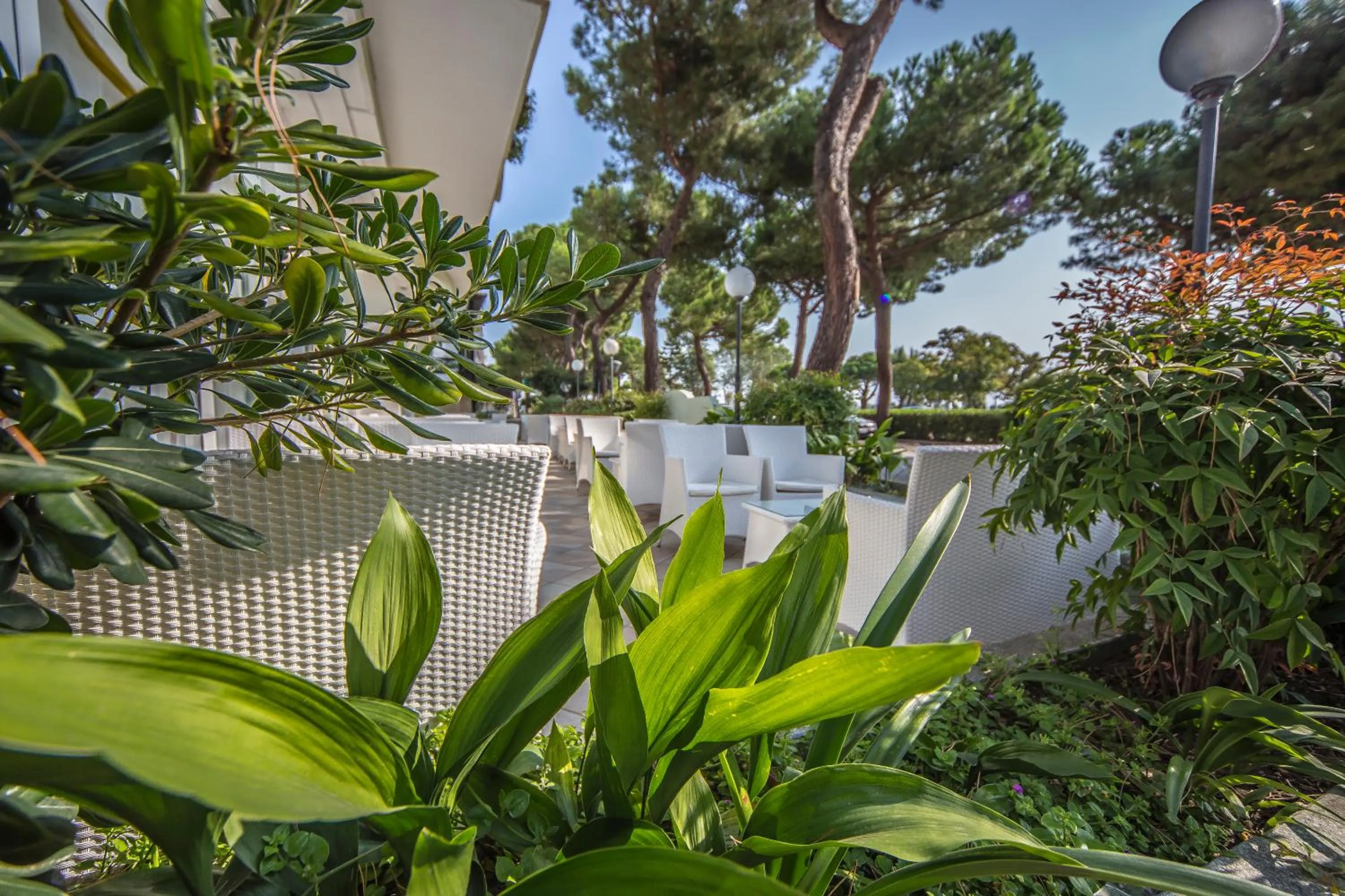 Property building in Ciccio Hotel