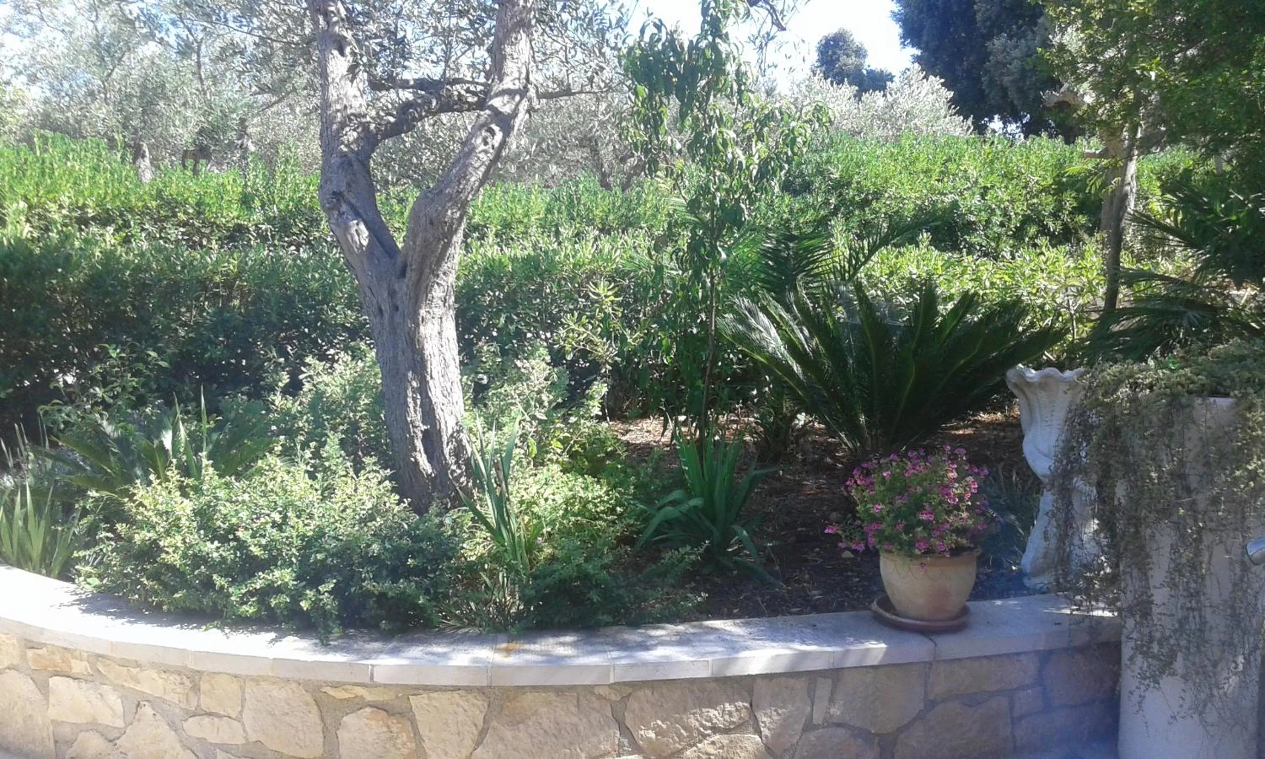 Garden view in B & B La Mansarda