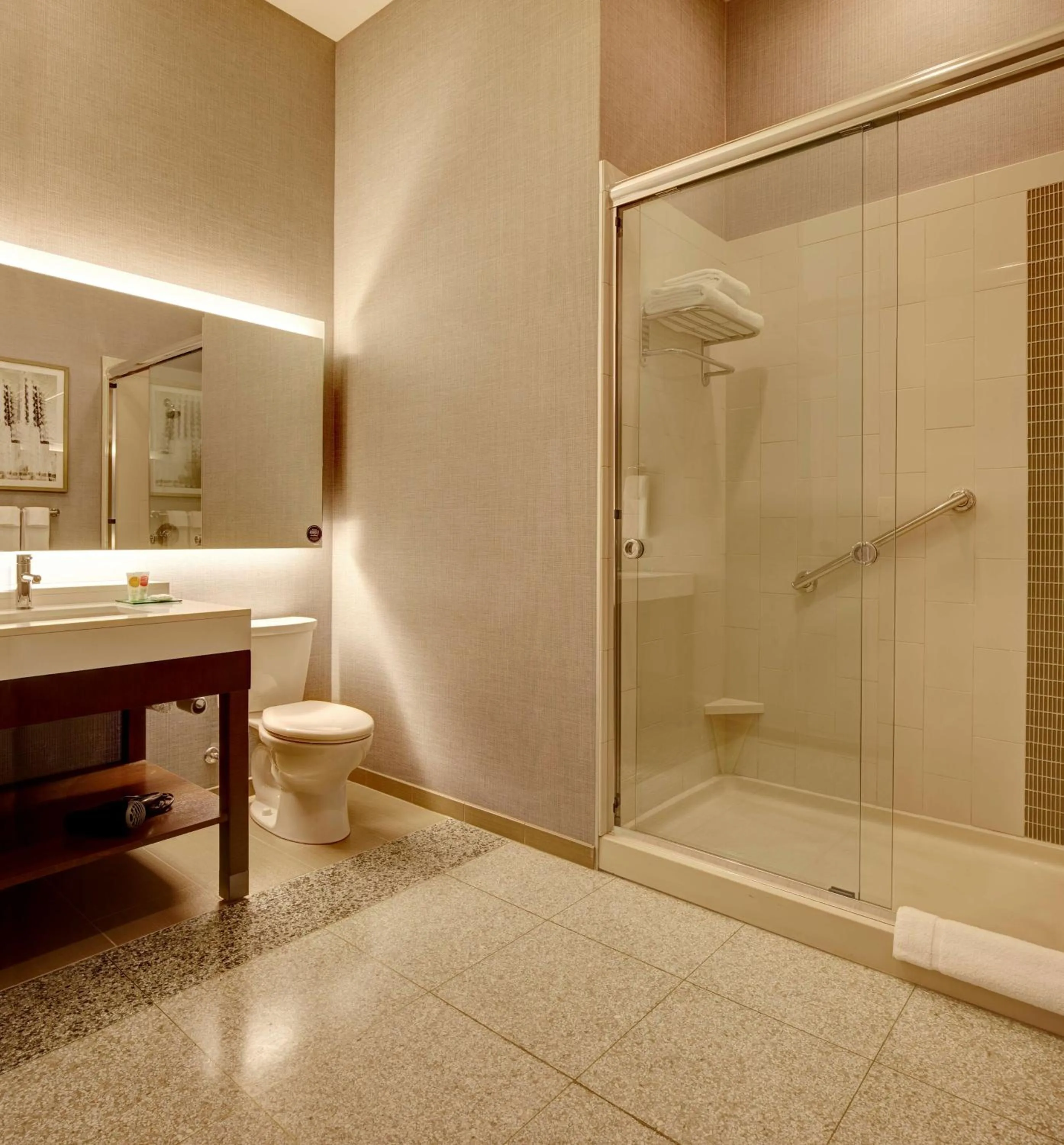 Bathroom in Hyatt Place St. Paul