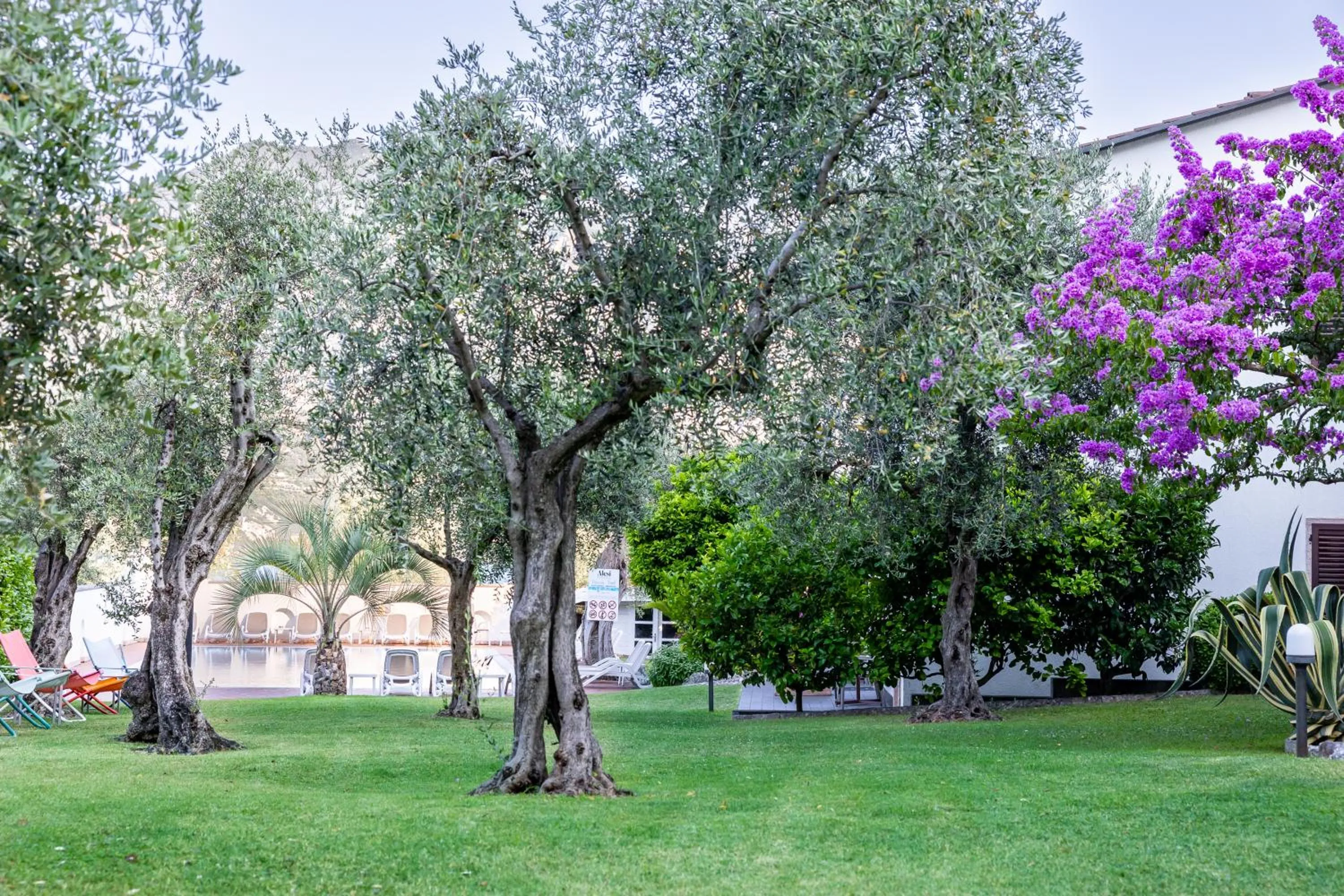 Garden in Residence Alesi