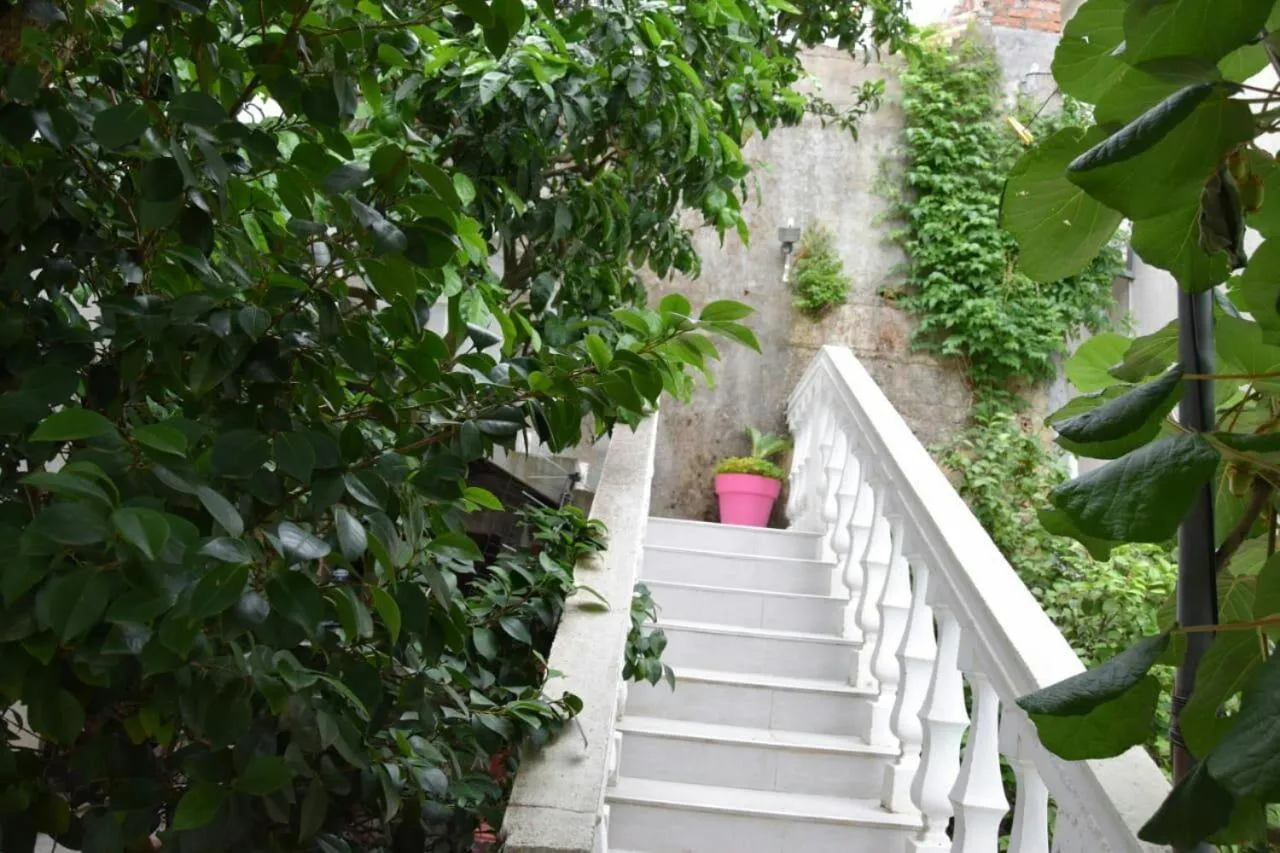 Day in Apartman Bećir