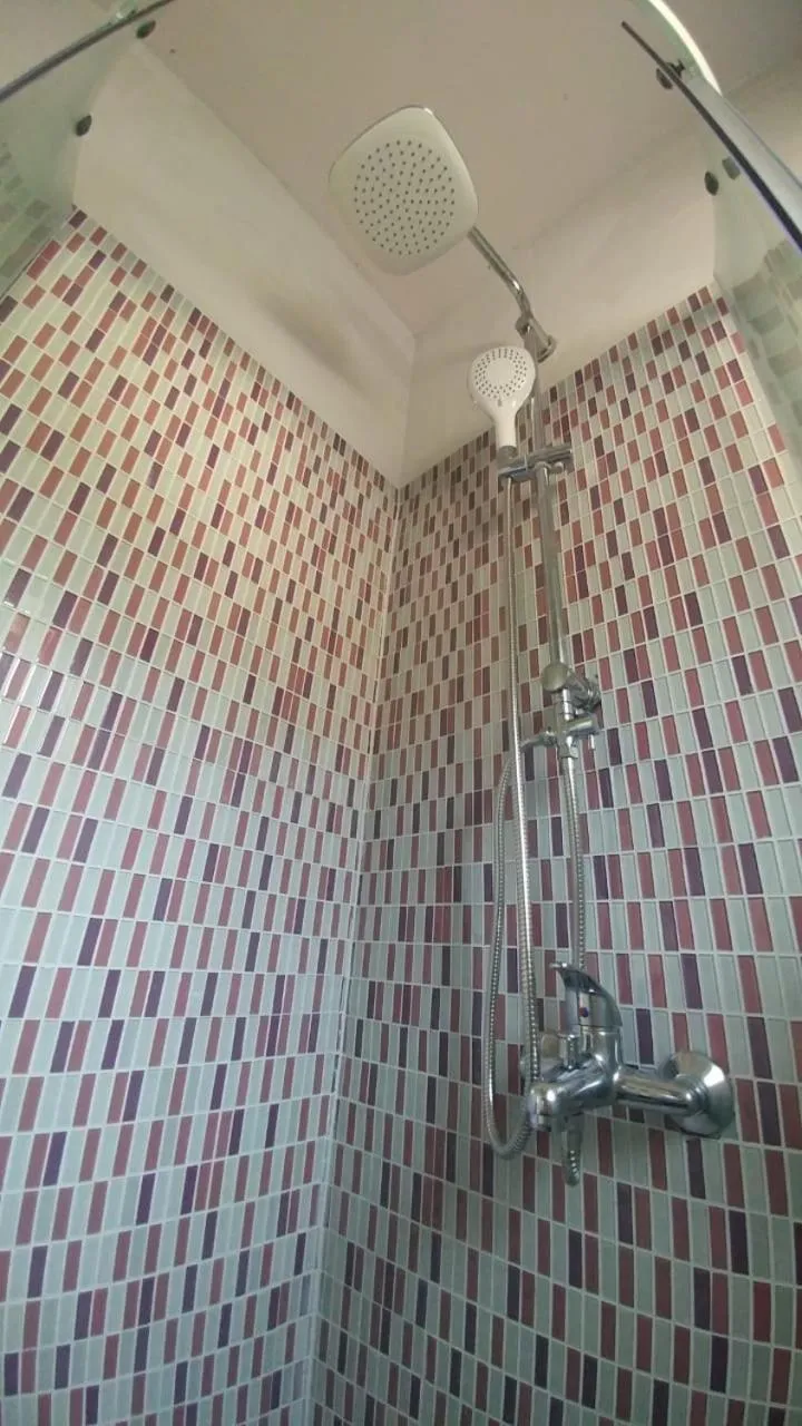 Shower in Apartman Bećir