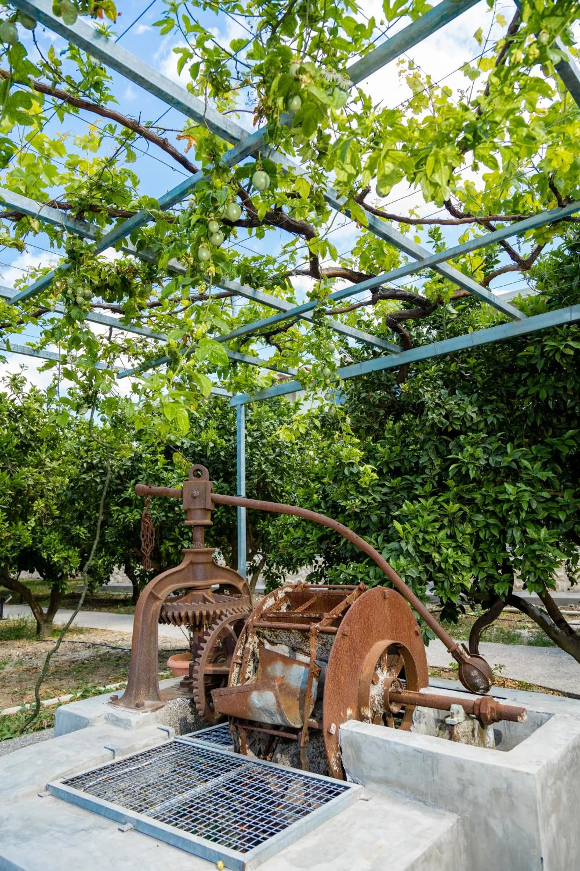 Patio in Ilyssion Holidays Hotel