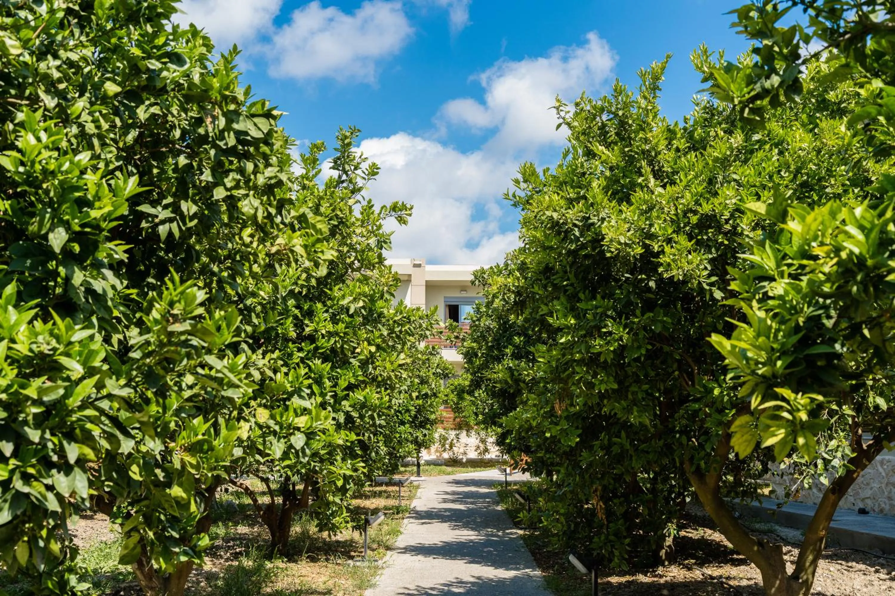 Property building in Ilyssion Holidays Hotel