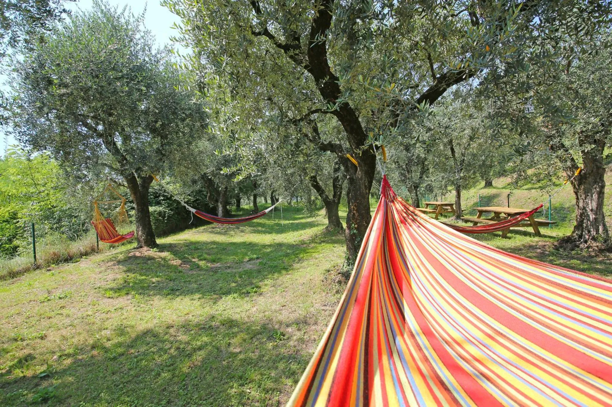 Natural landscape in Residence Arca