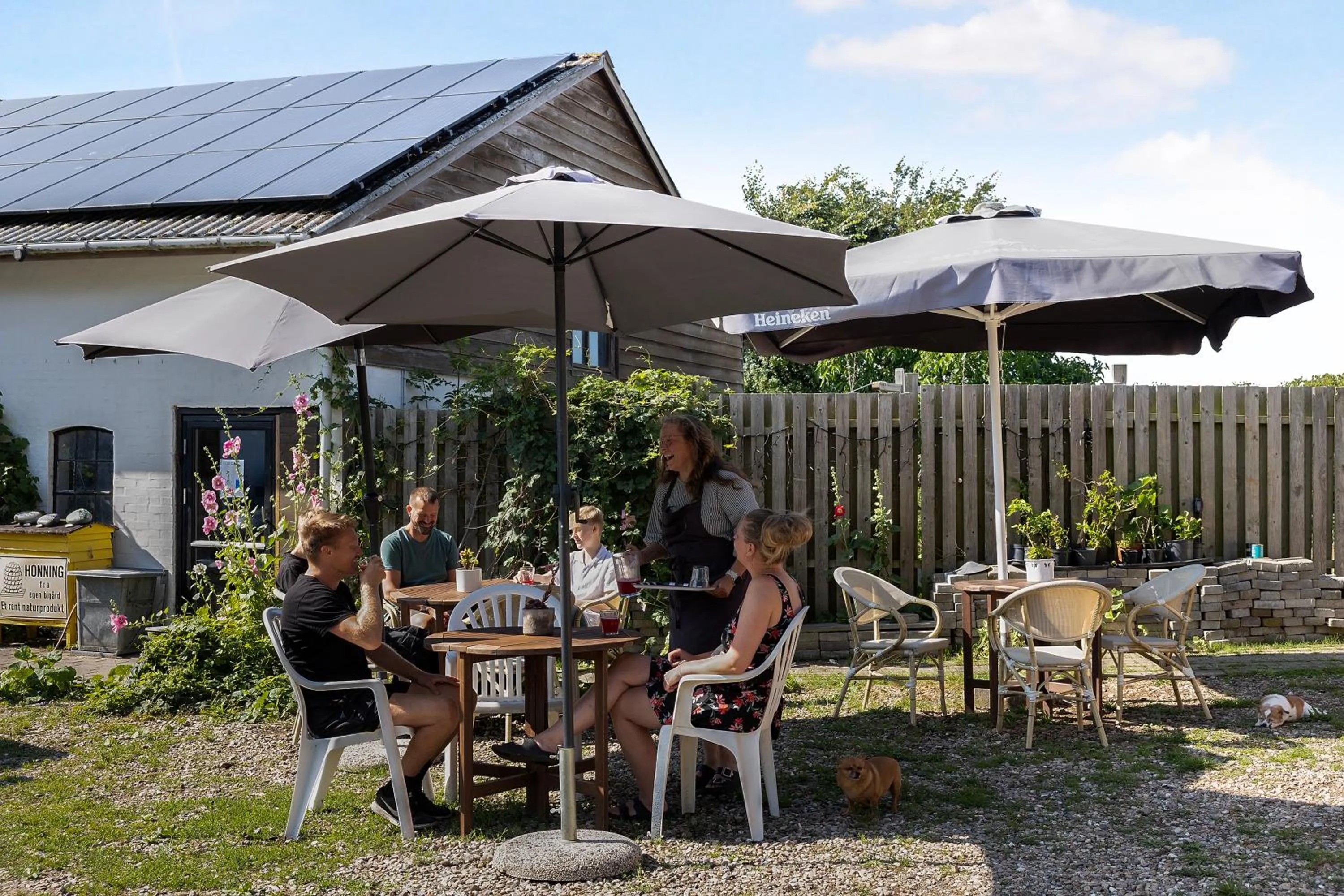 Inner courtyard view in Skortskær Bondegårdsferie