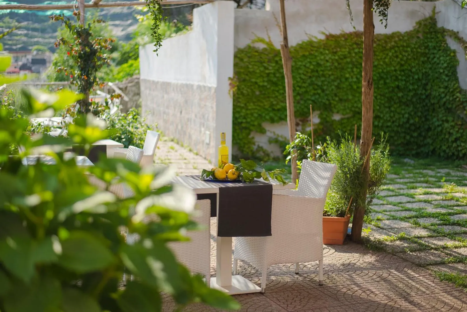 Garden in Aquarius Maiori B&B