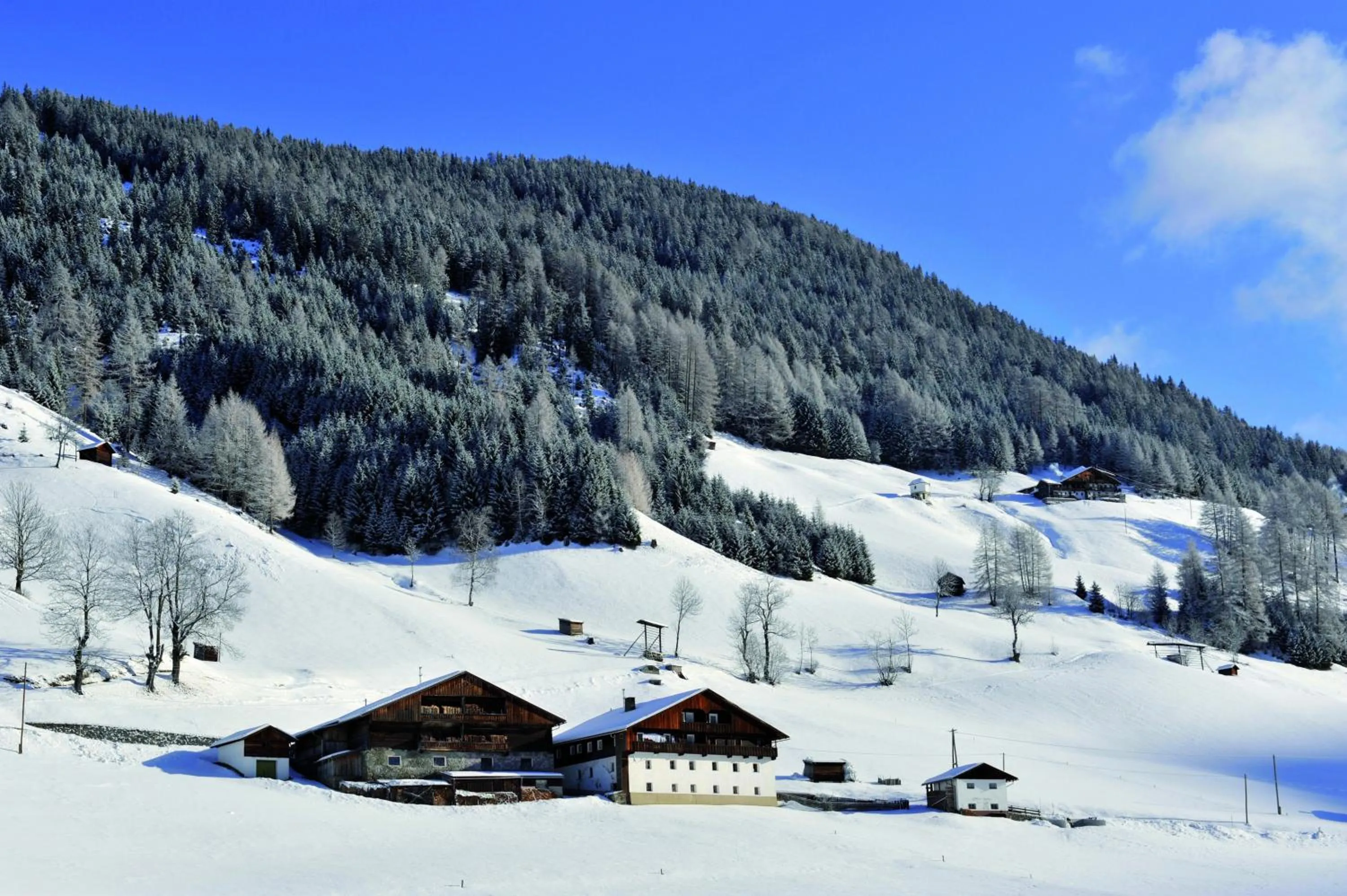 Facade/entrance in Aparthotel Garni Monte