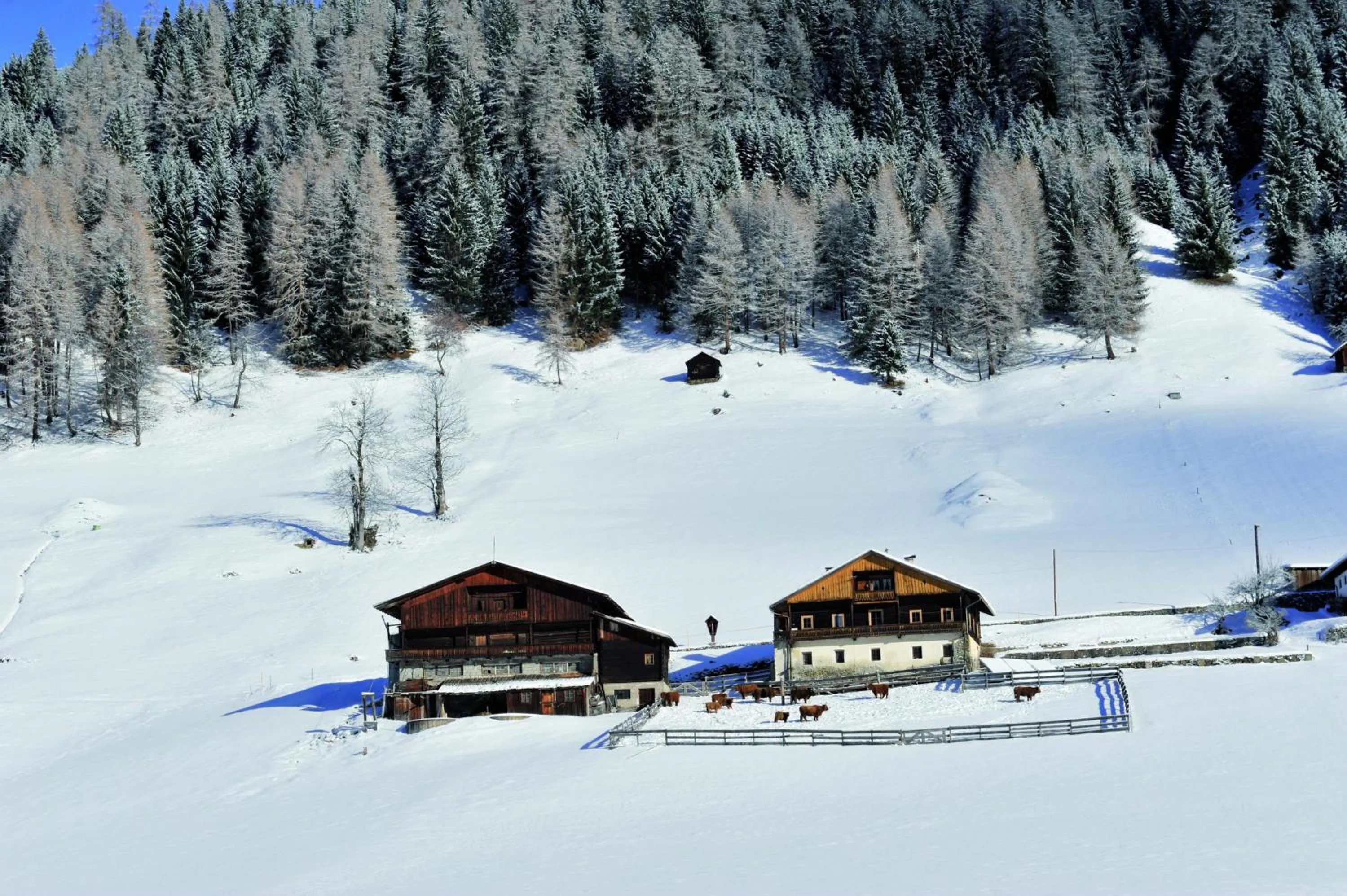 Facade/entrance in Aparthotel Garni Monte