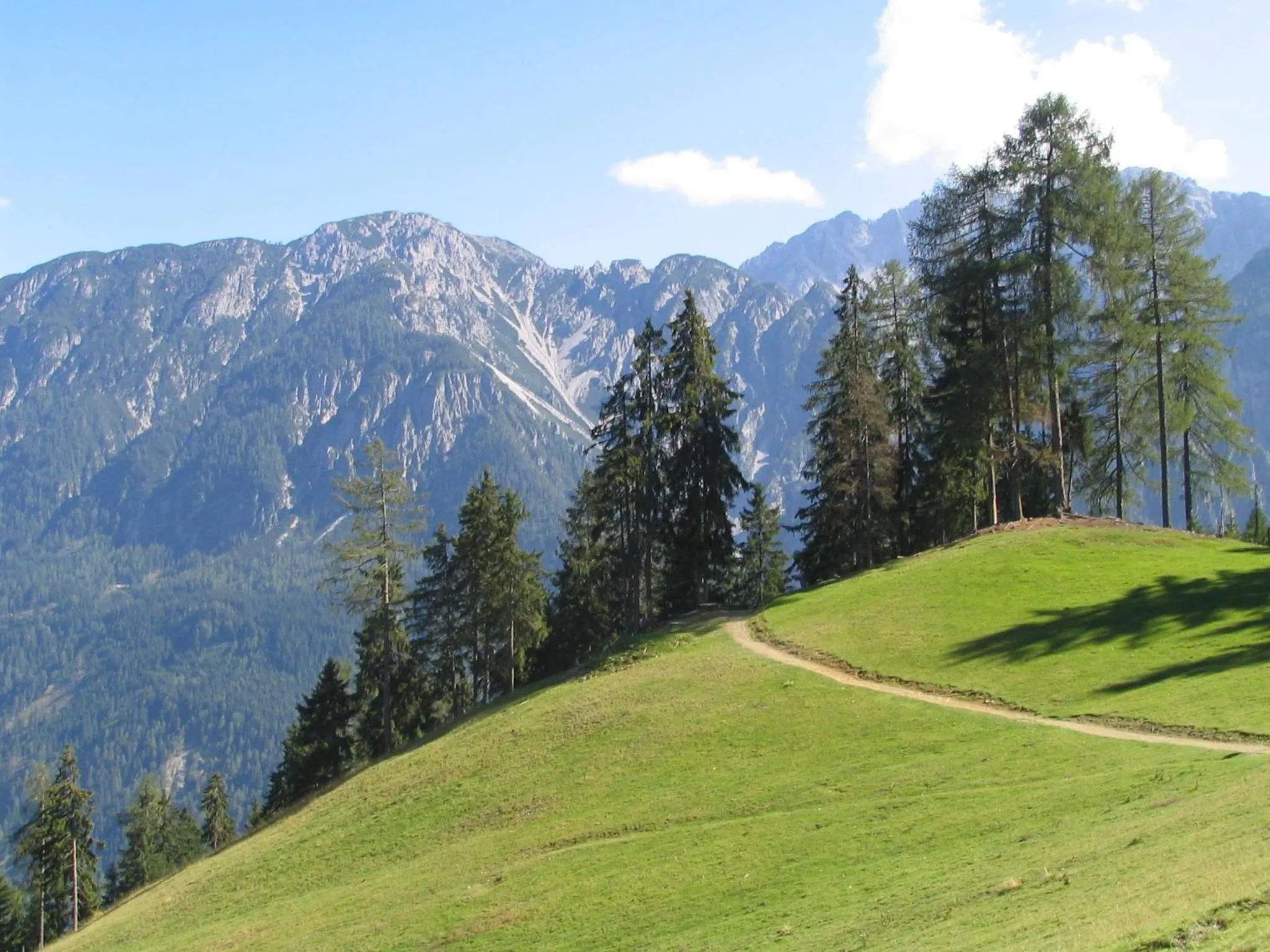 Area and facilities in Aparthotel Garni Monte