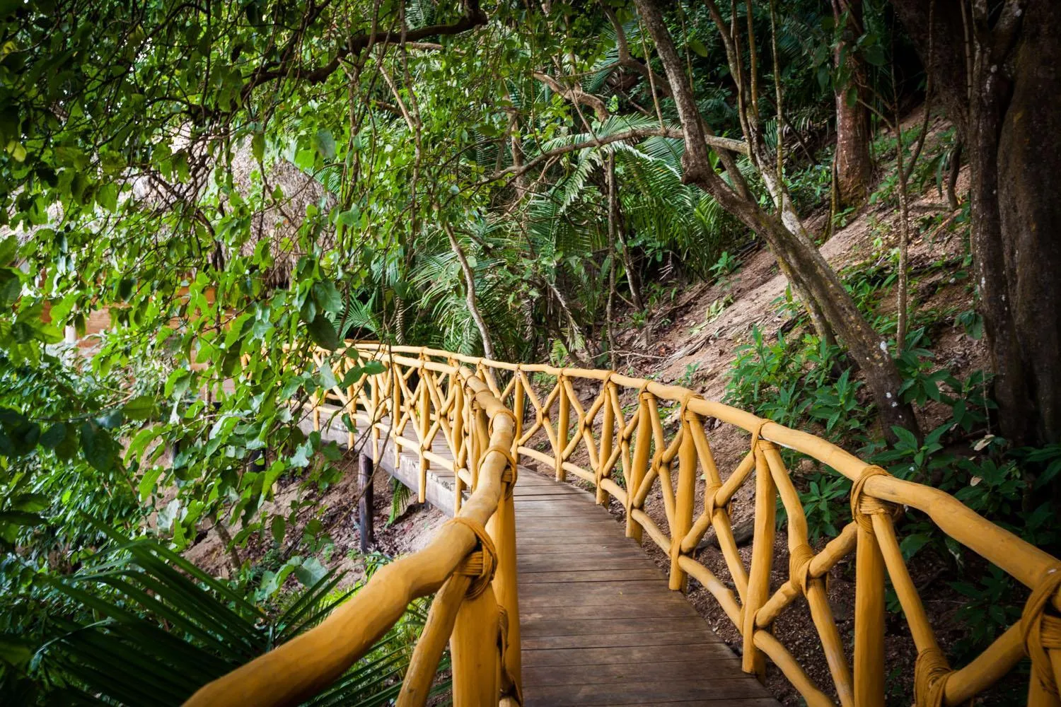 Garden in Xinalani Retreat Mexico