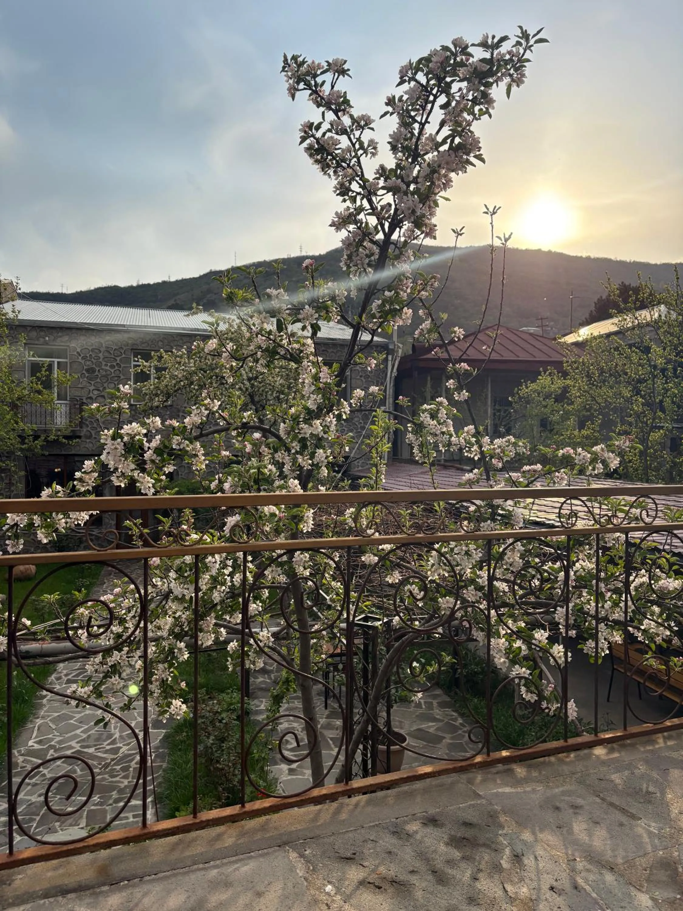 Garden view in Mthnadzor