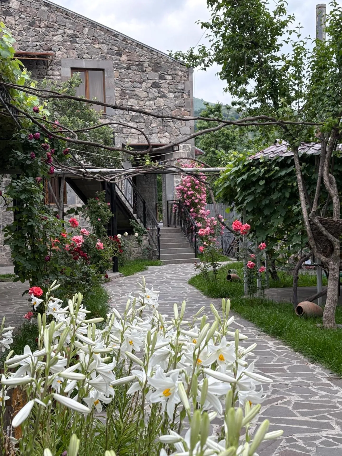 Garden in Mthnadzor