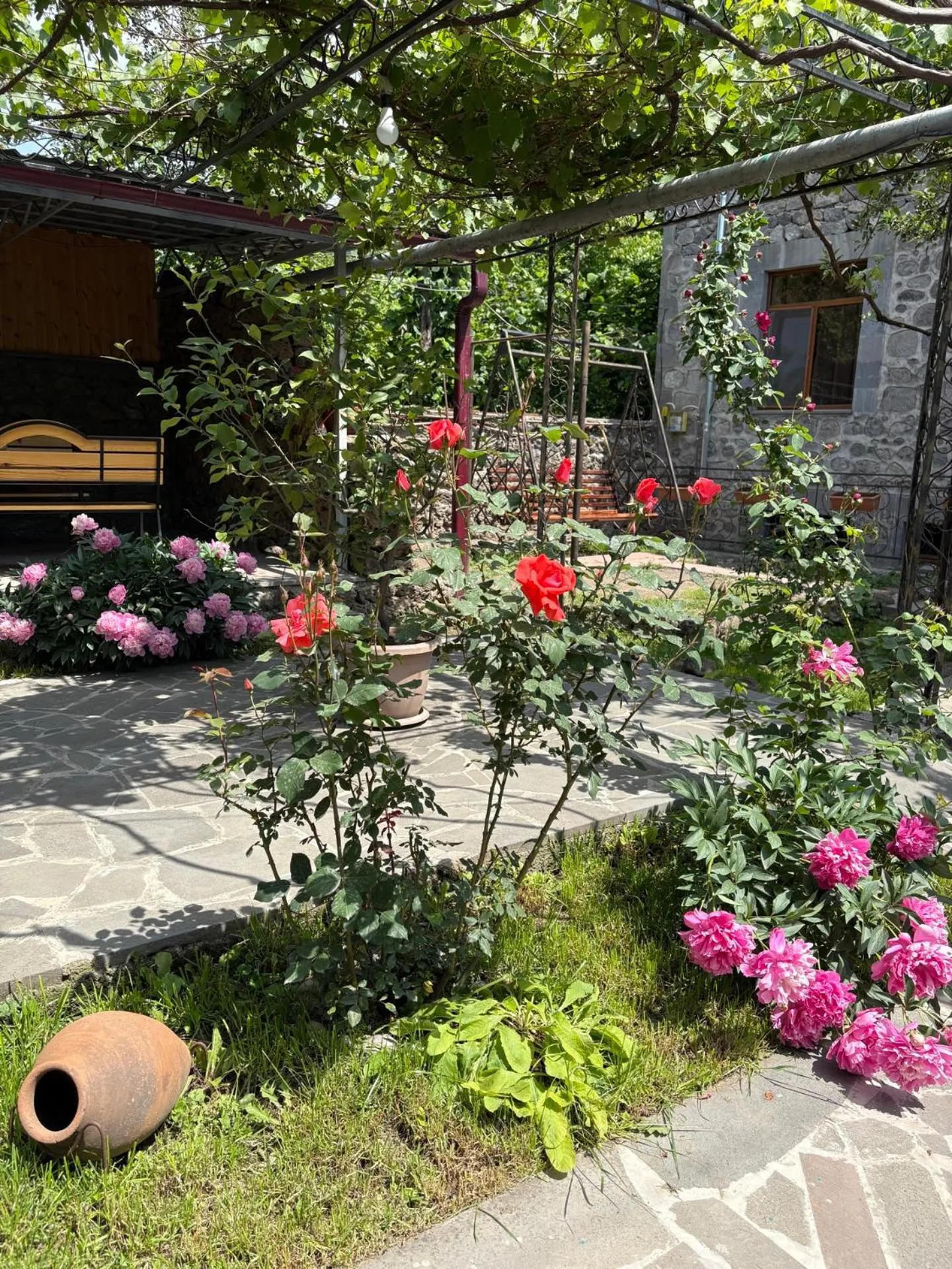 Garden in Mthnadzor