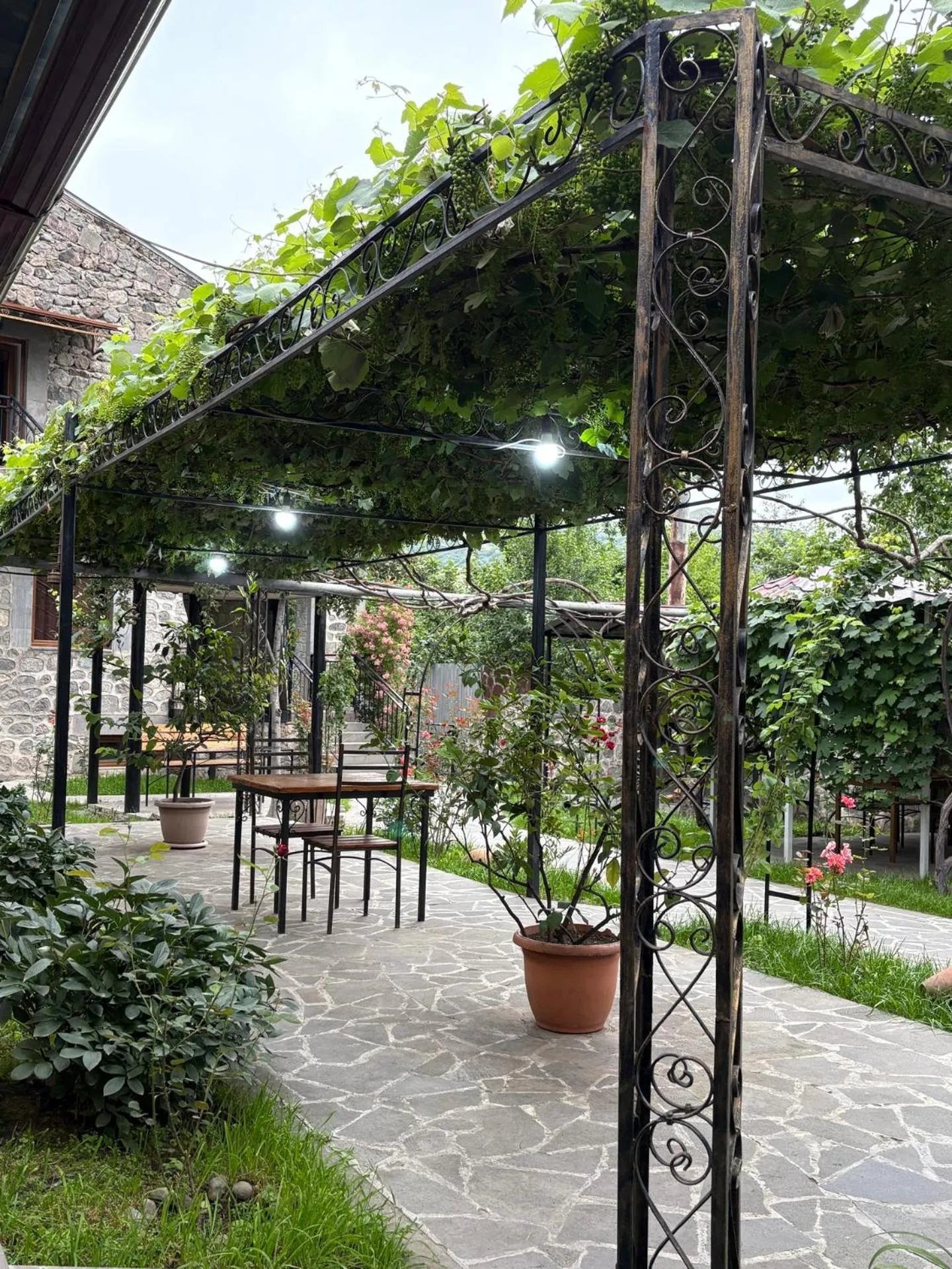 Garden in Mthnadzor