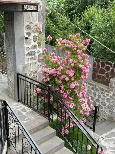 Garden in Mthnadzor