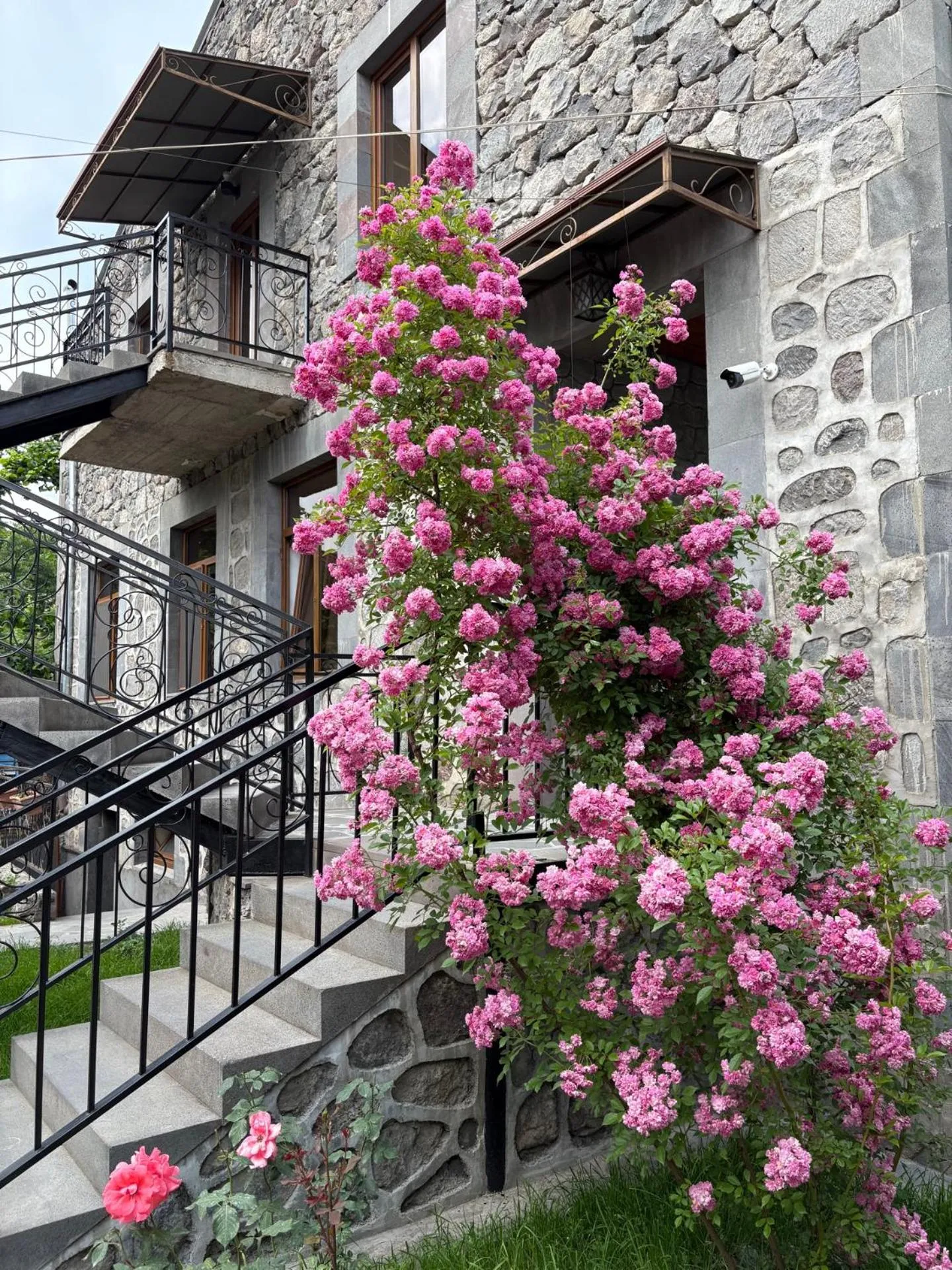 Garden in Mthnadzor