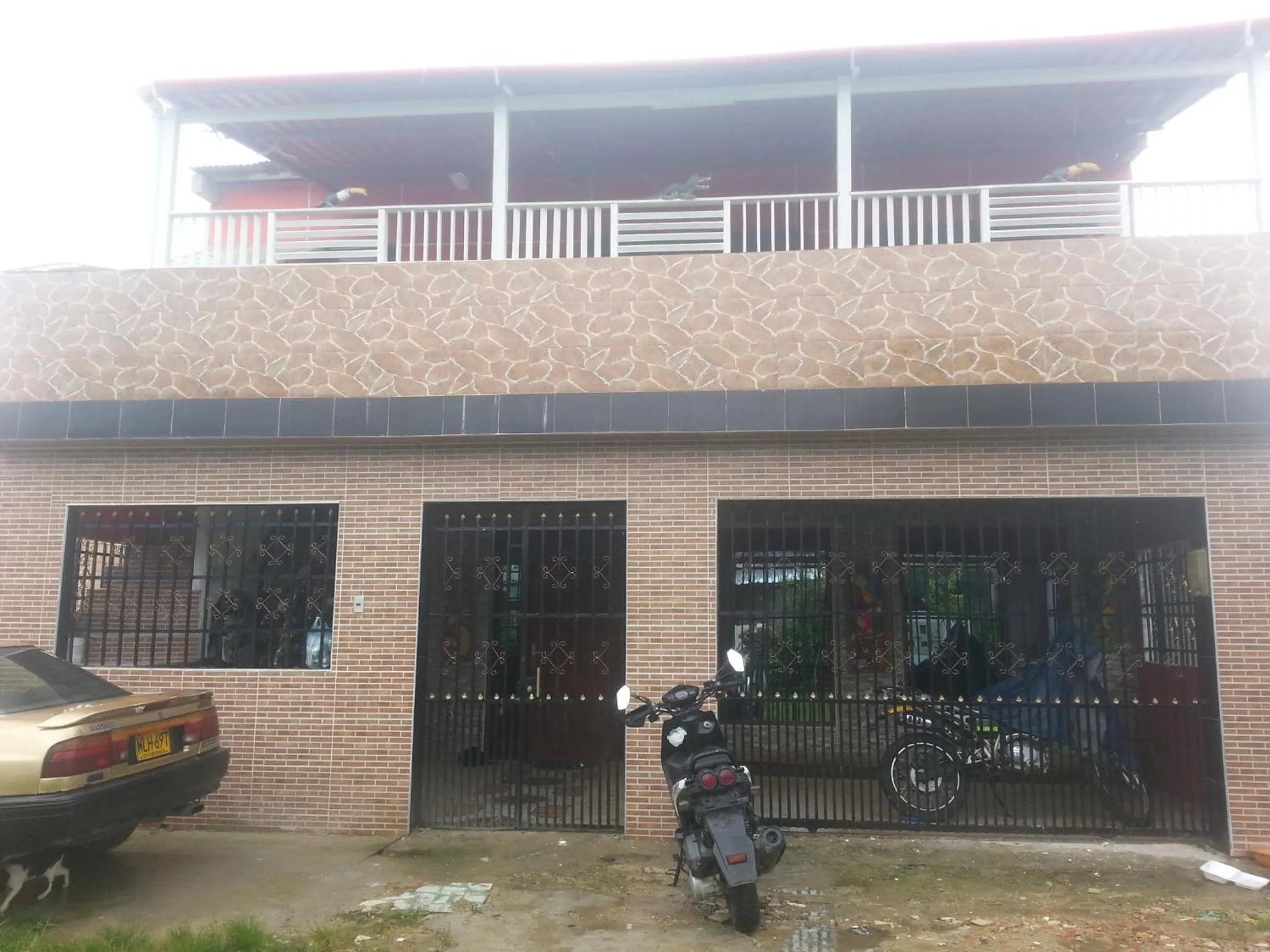 Property building in Hostal Selvatrip