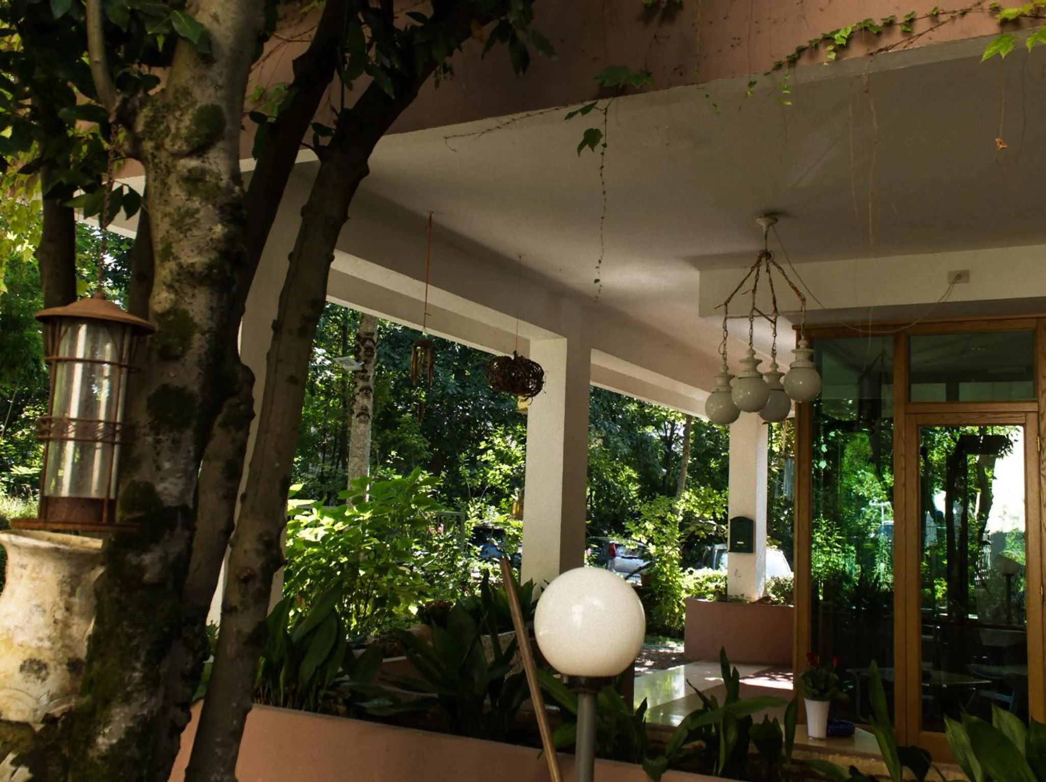 Garden in Hotel MariaLetizia