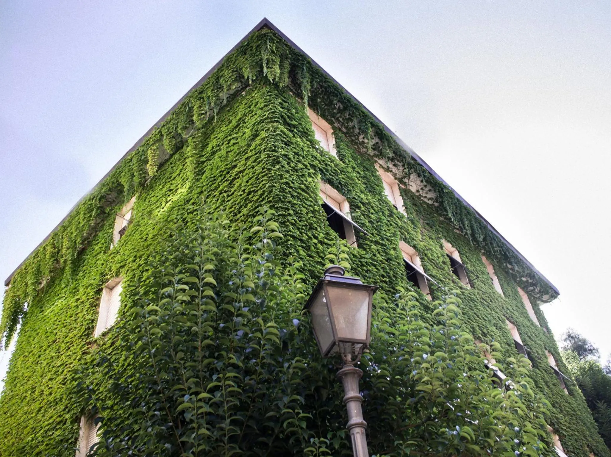 Facade/entrance in Hotel MariaLetizia