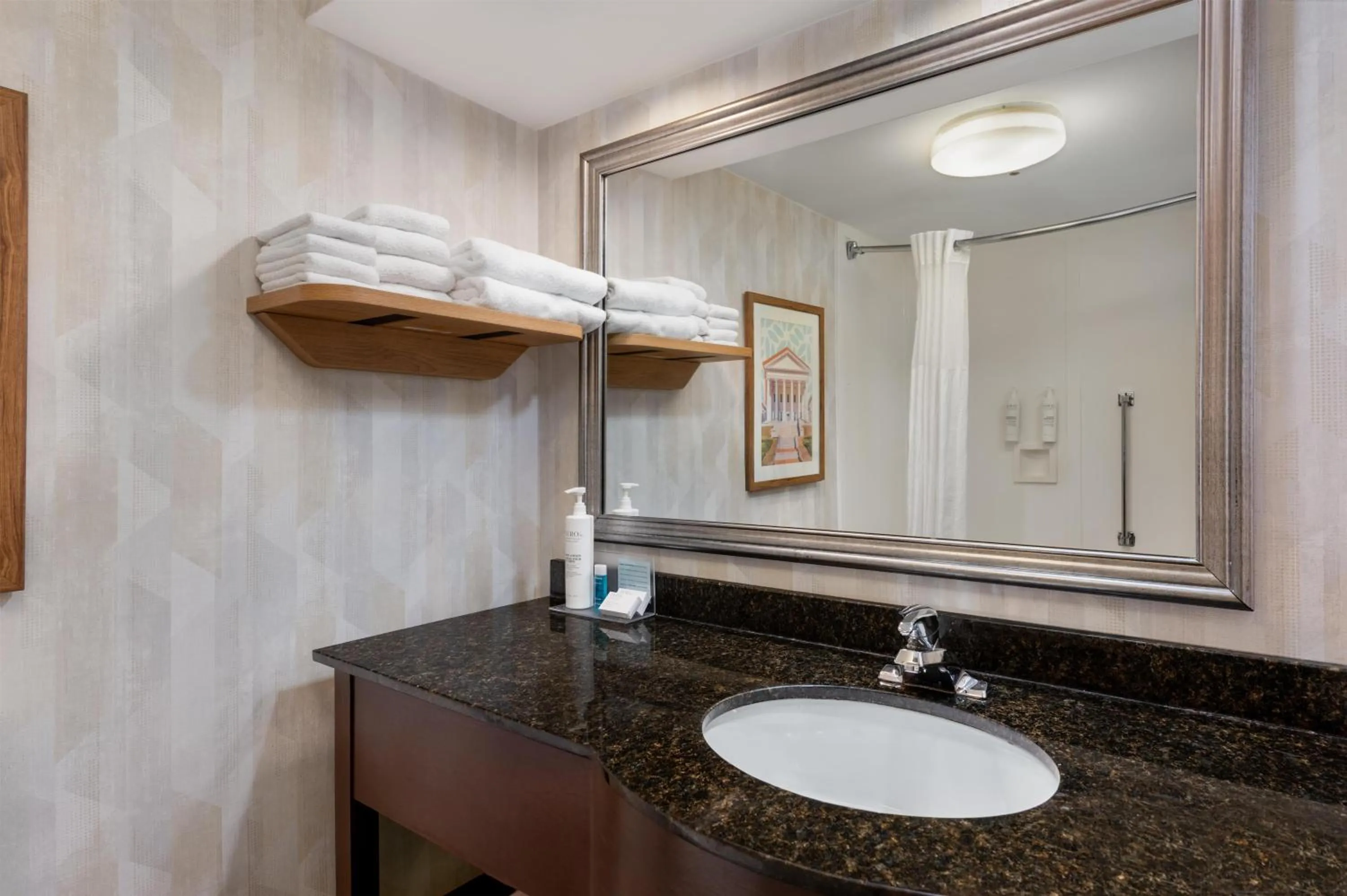 Bathroom in Hampton Inn South Hill