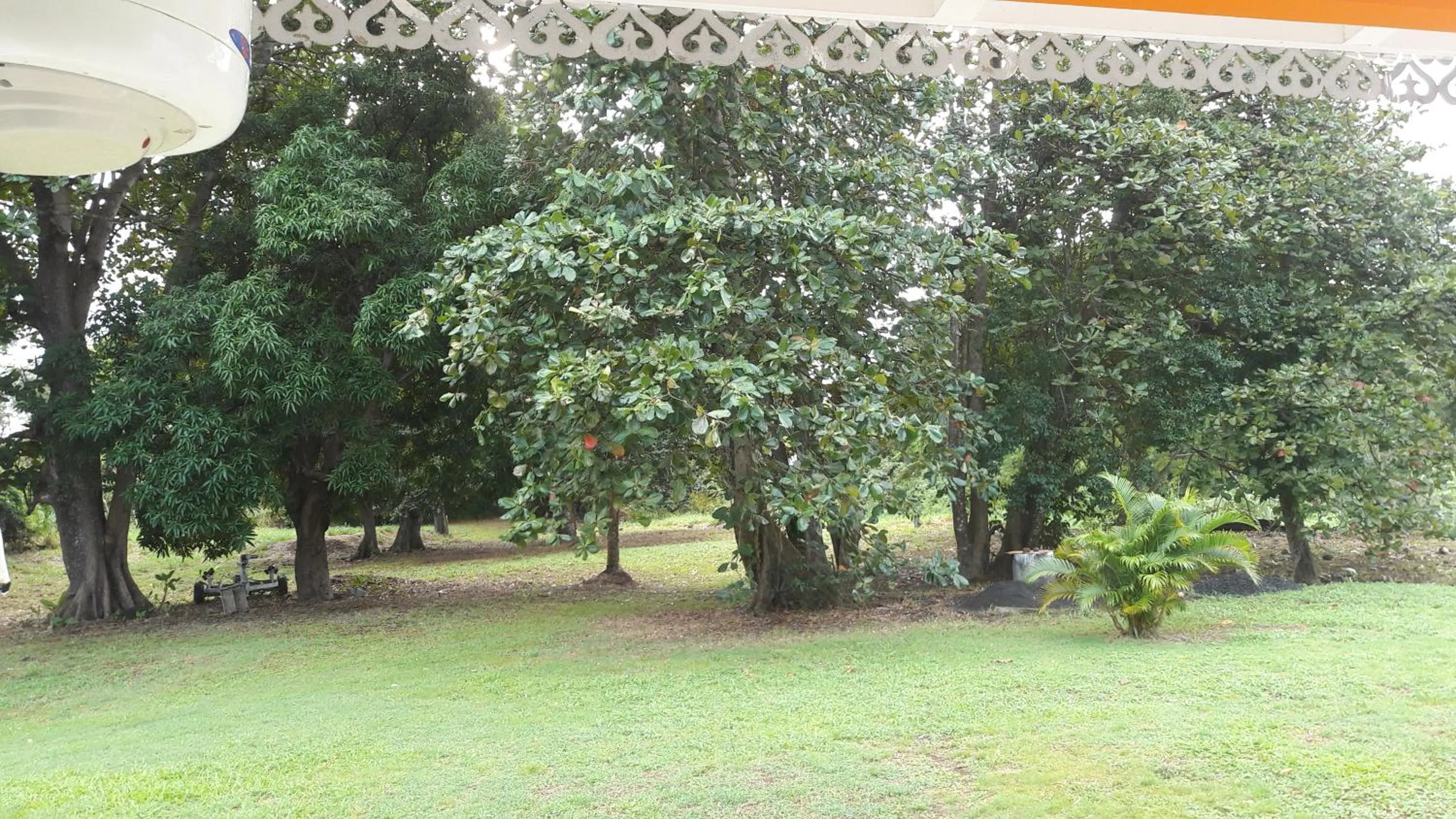 Garden view in Bungalow PAPAYE