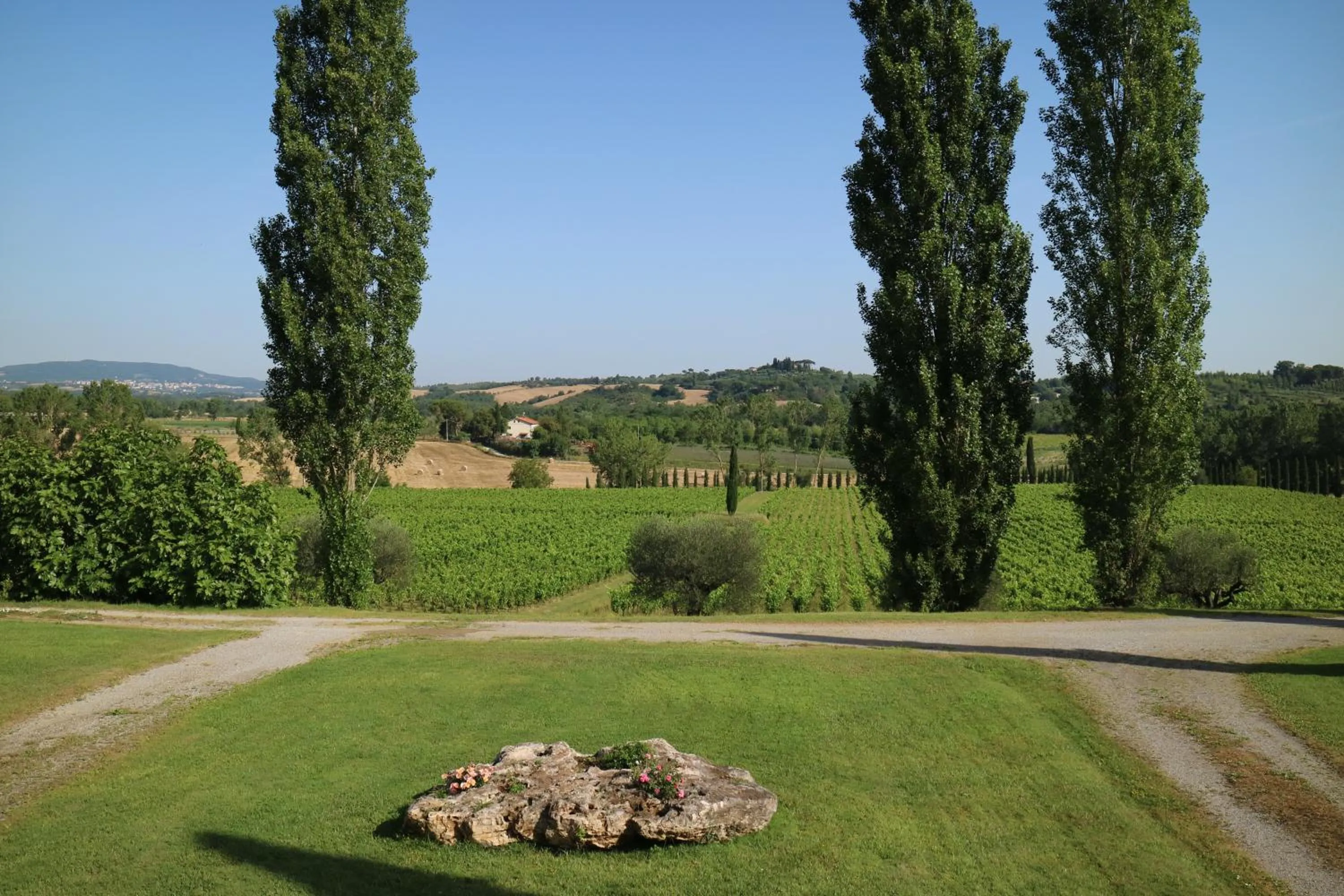 Garden in Agriturismo La Sovana