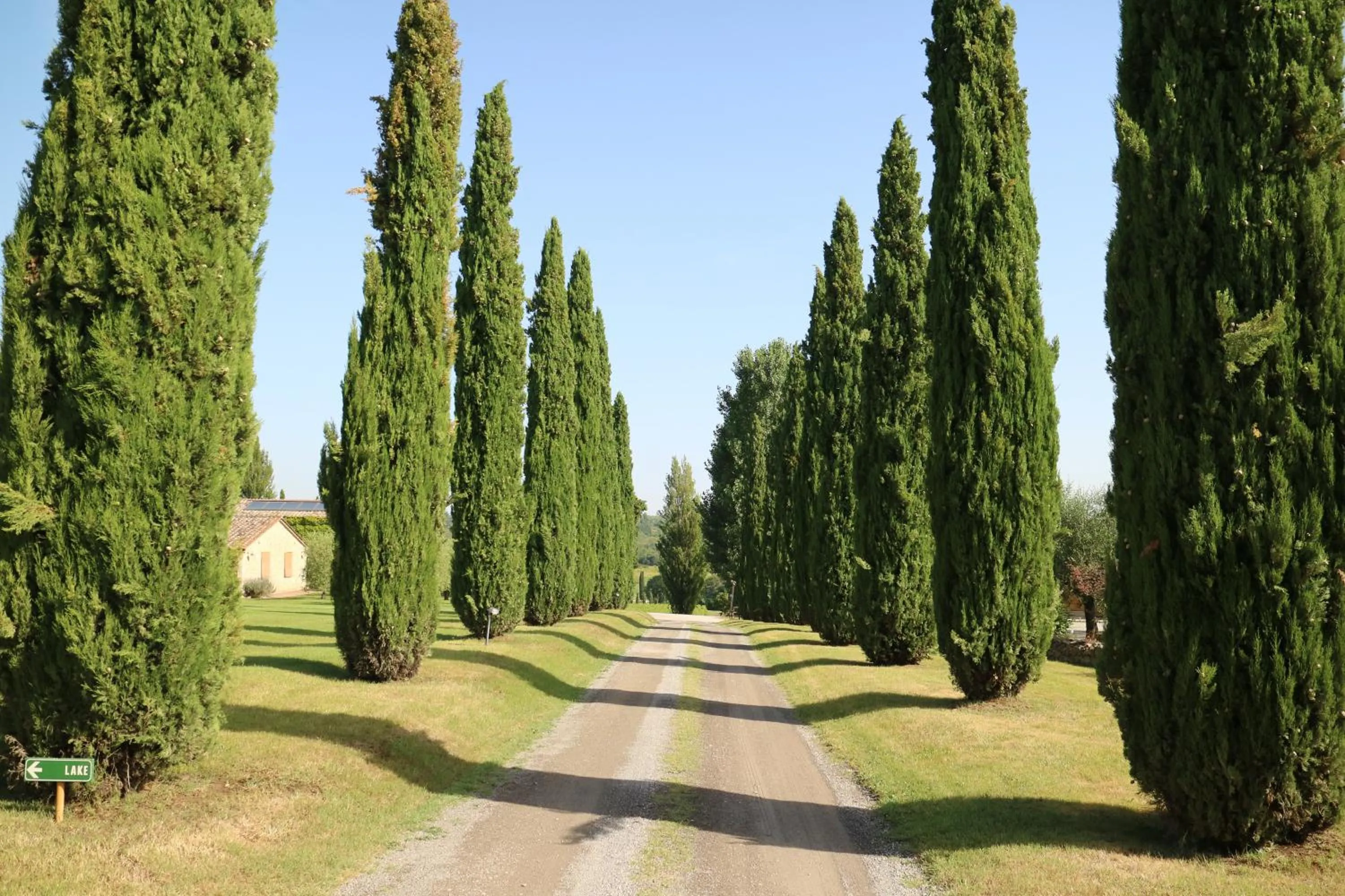 View (from property/room) in Agriturismo La Sovana