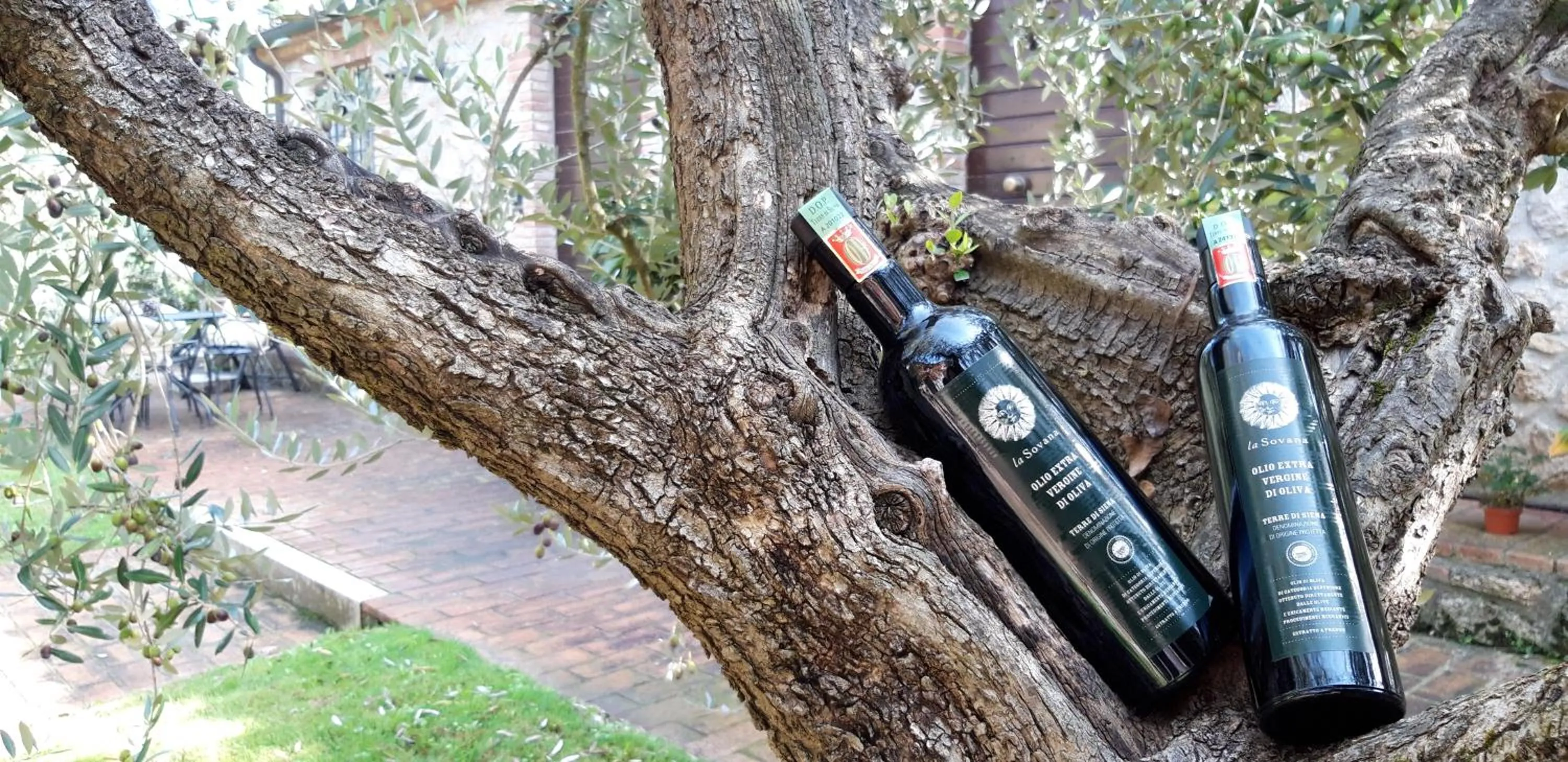 Garden in Agriturismo La Sovana