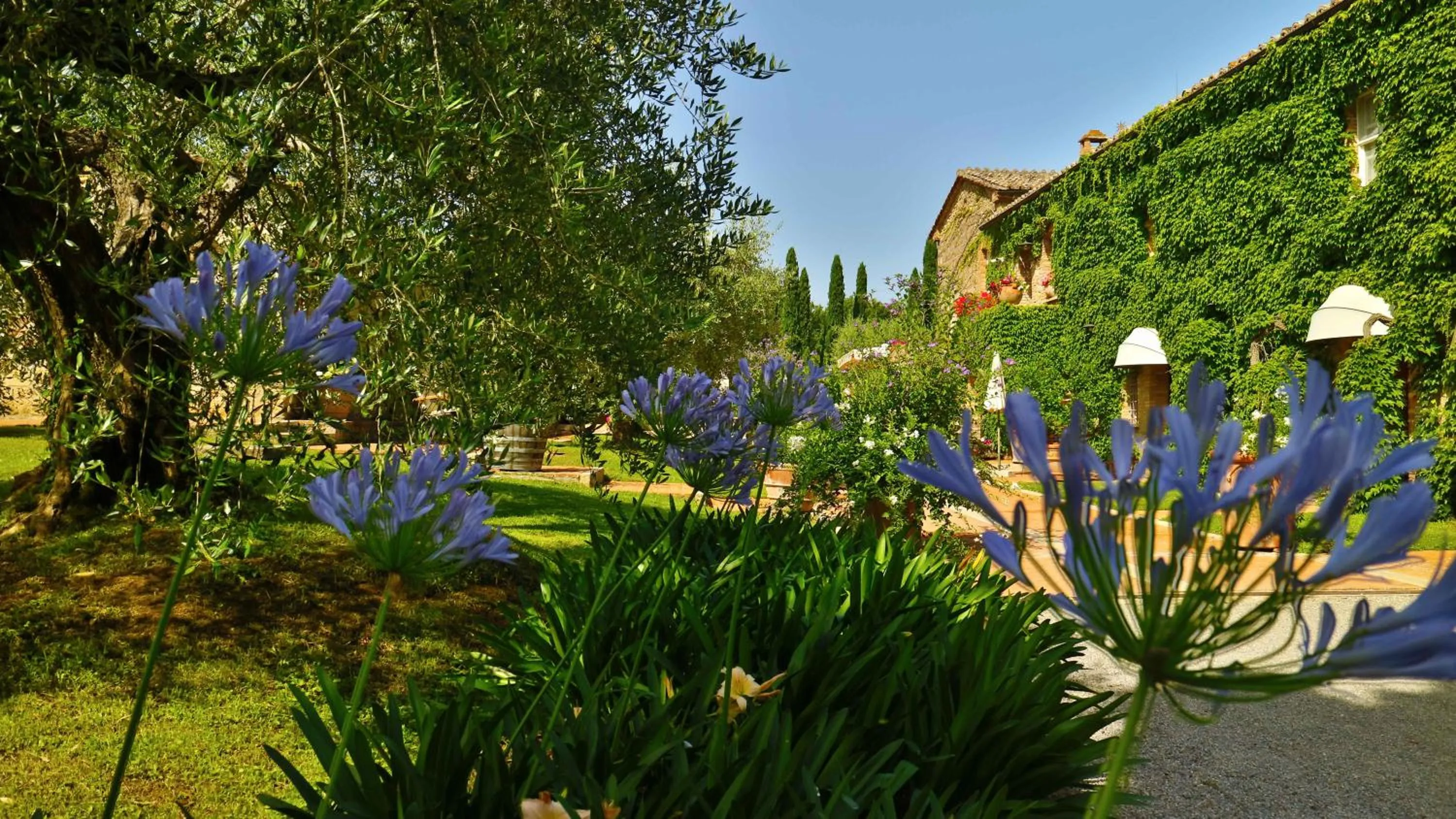 Property building in Agriturismo La Sovana