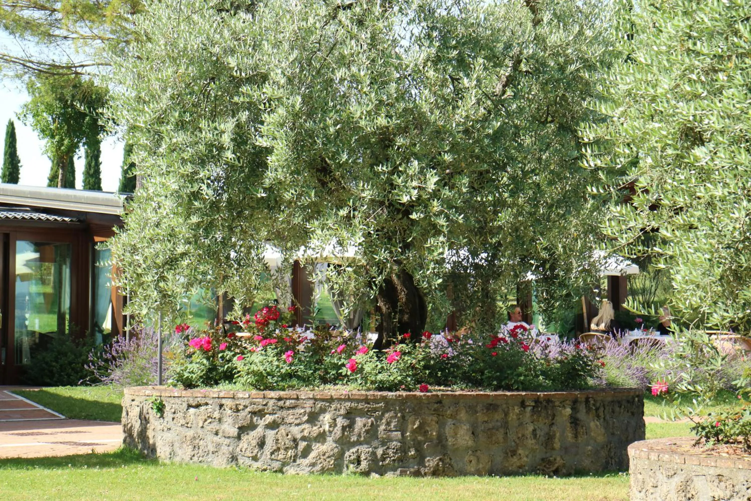 Day in Agriturismo La Sovana