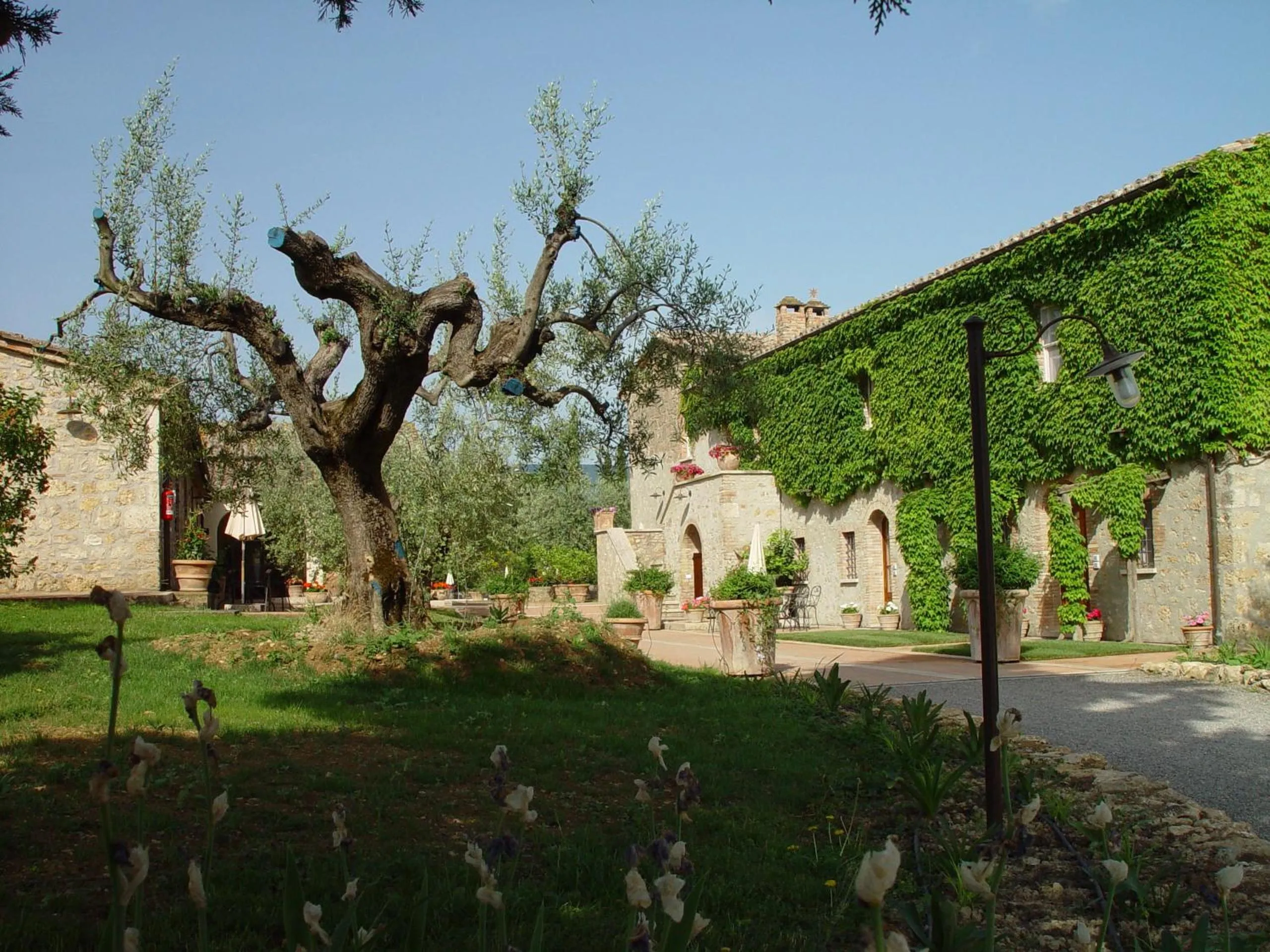 Day in Agriturismo La Sovana