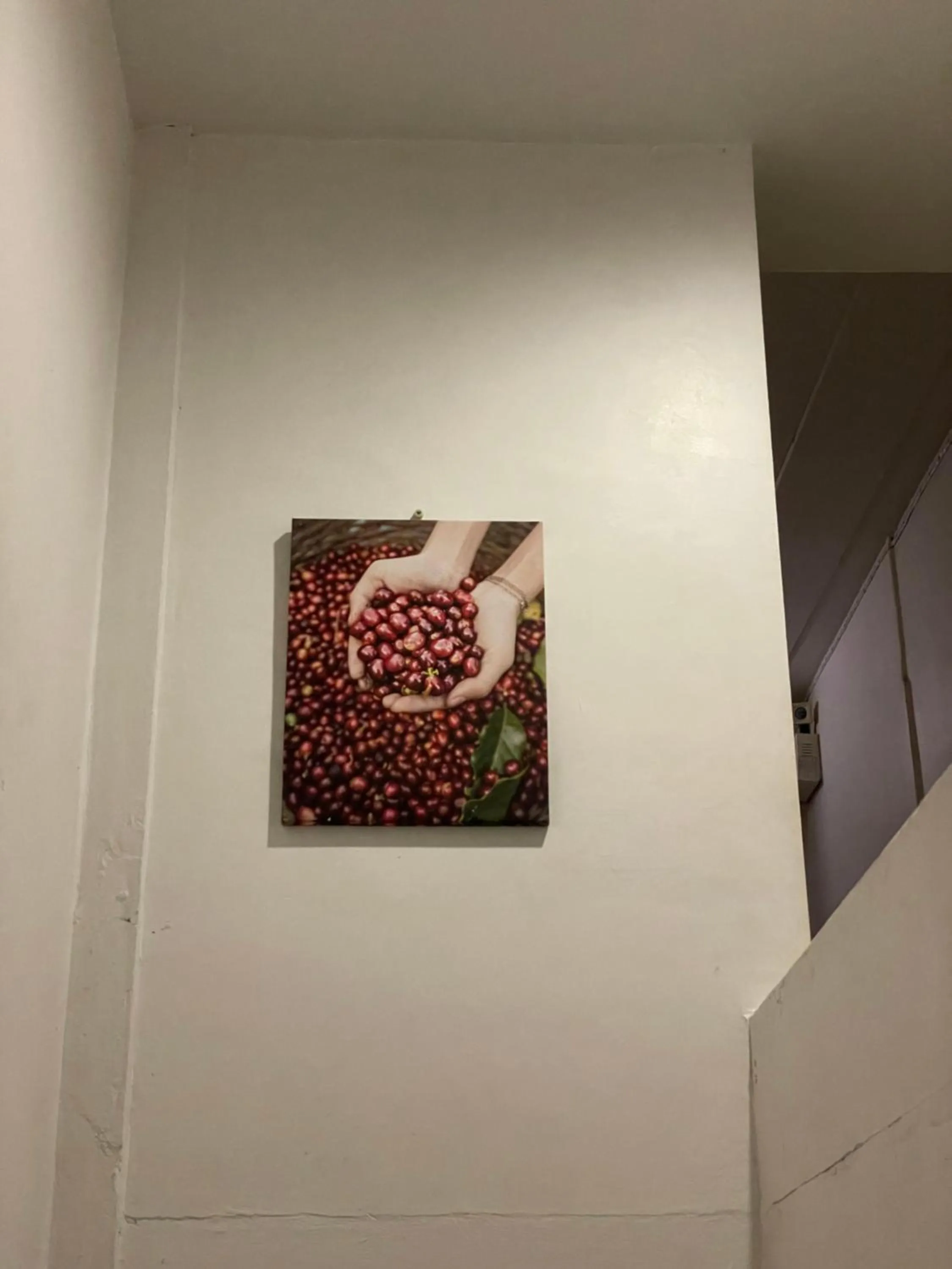 Decorative detail in Nawaporn Place