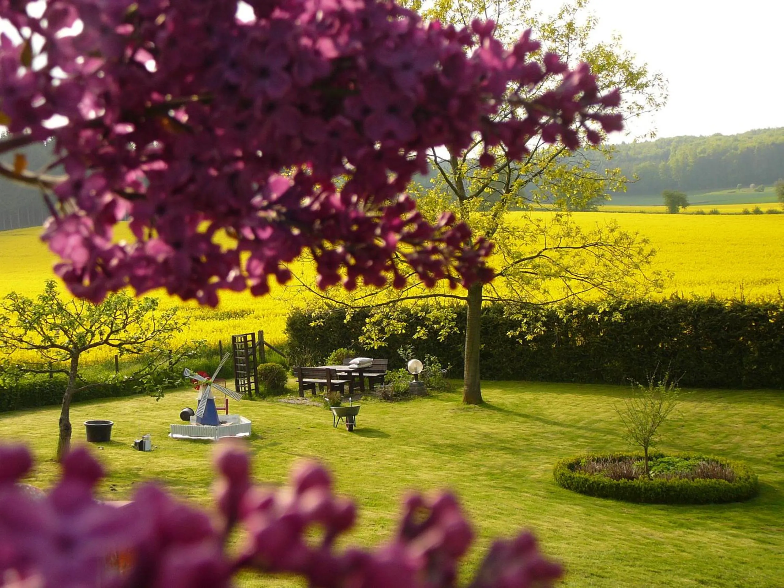 Garden in Haus Drei Tannen