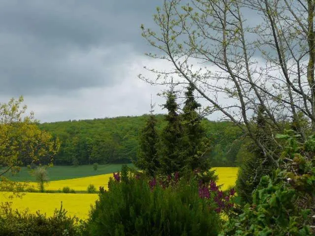 View (from property/room) in Haus Drei Tannen