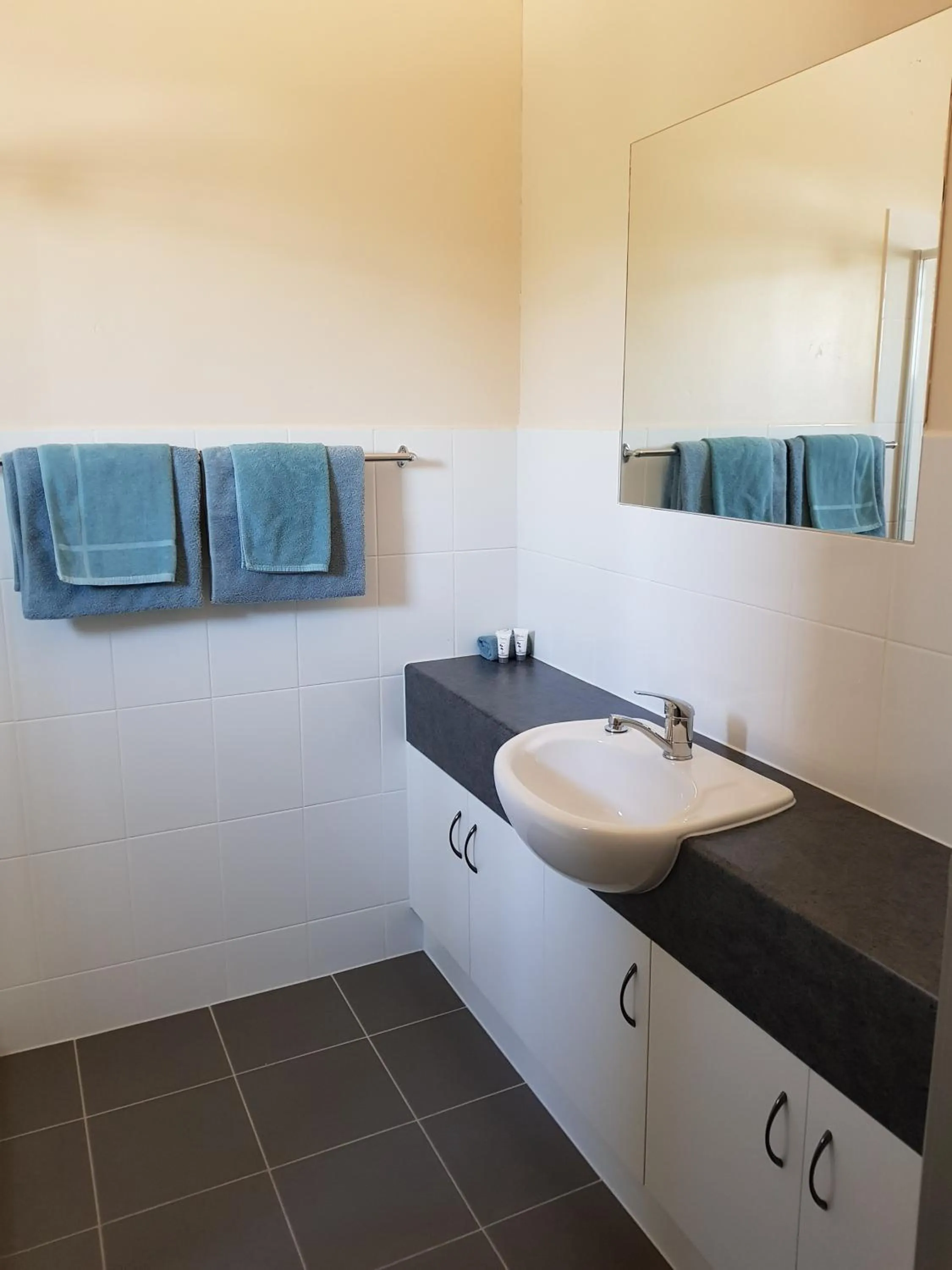 Bathroom in Wentworth Central Motor Inn