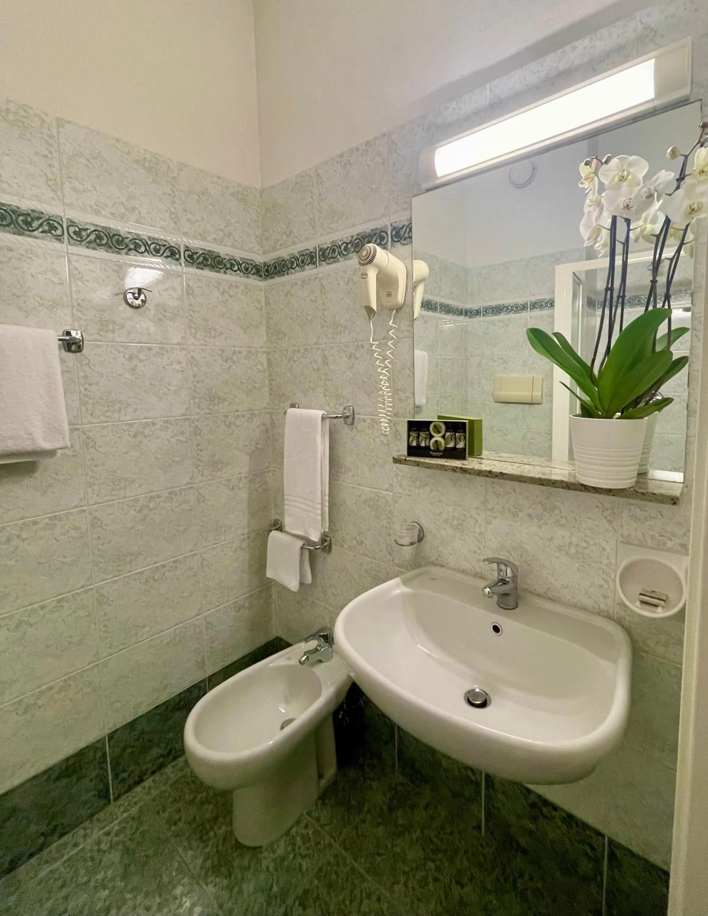 Shower in Hotel Embassy