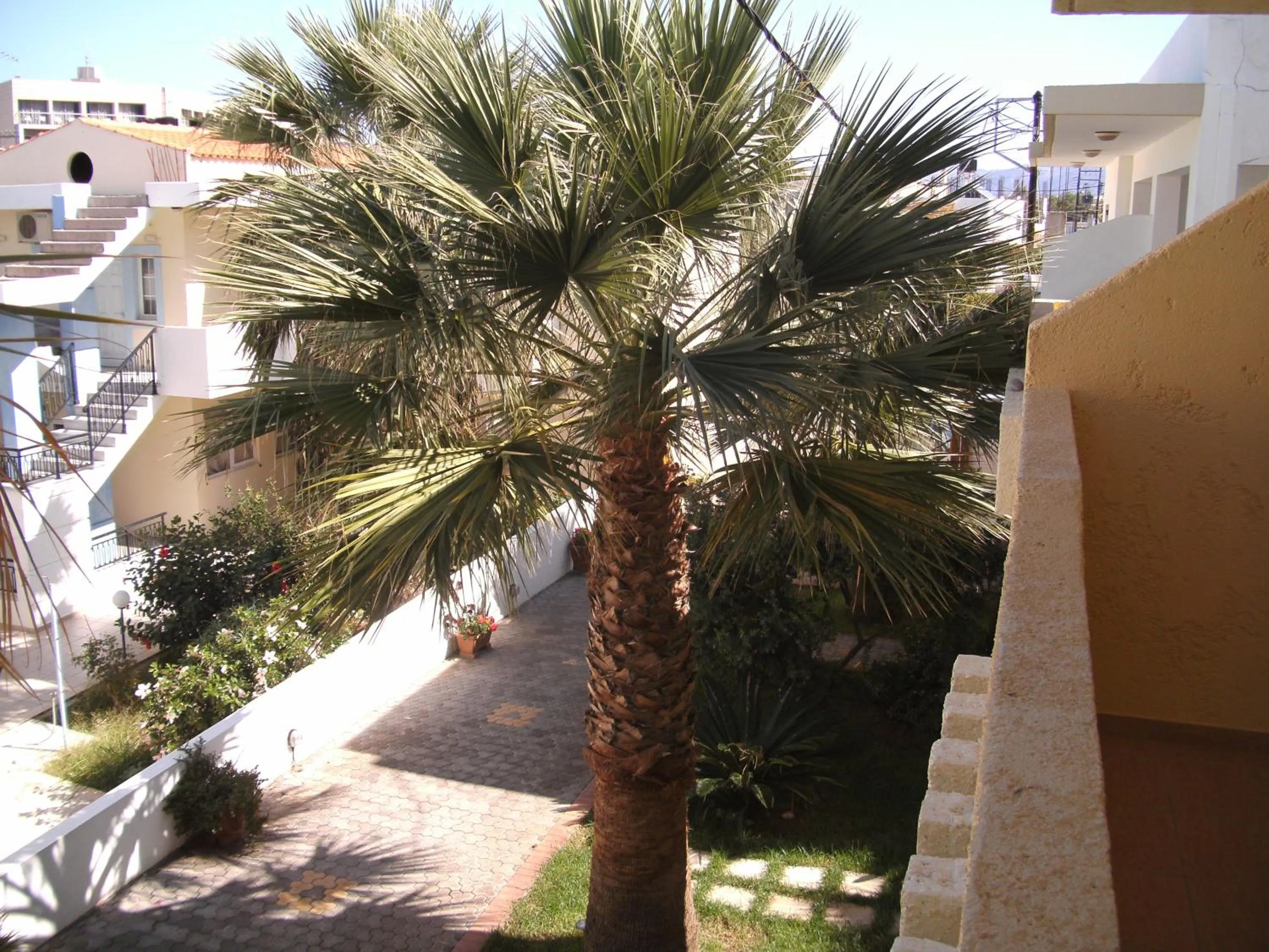 Property building in Lia Sofia Apartments